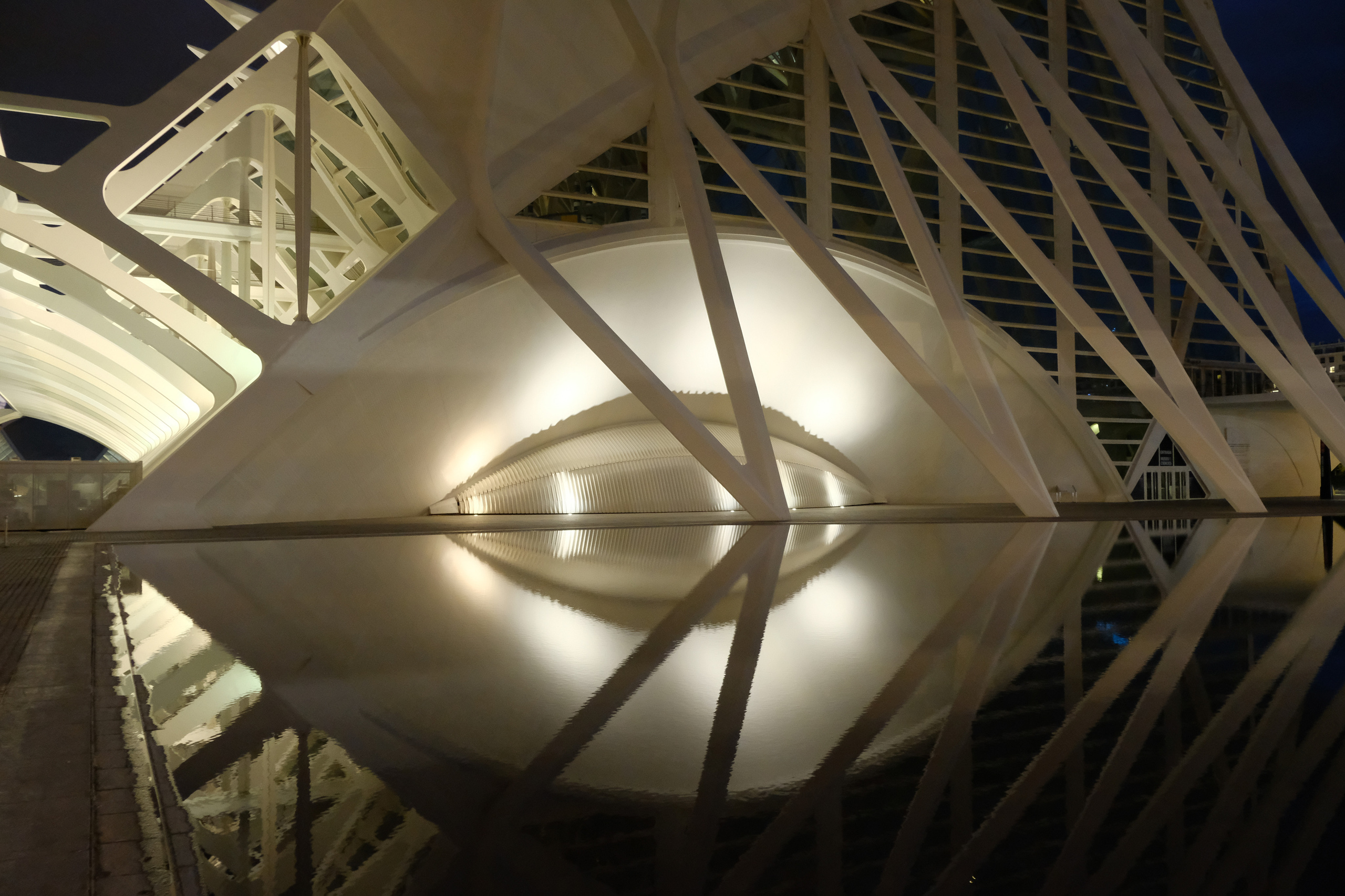 Visita guiada con fotos de la Ciudad de las Artes y las Ciencias. Novikov Mikhail, fotógrafo de Valencia