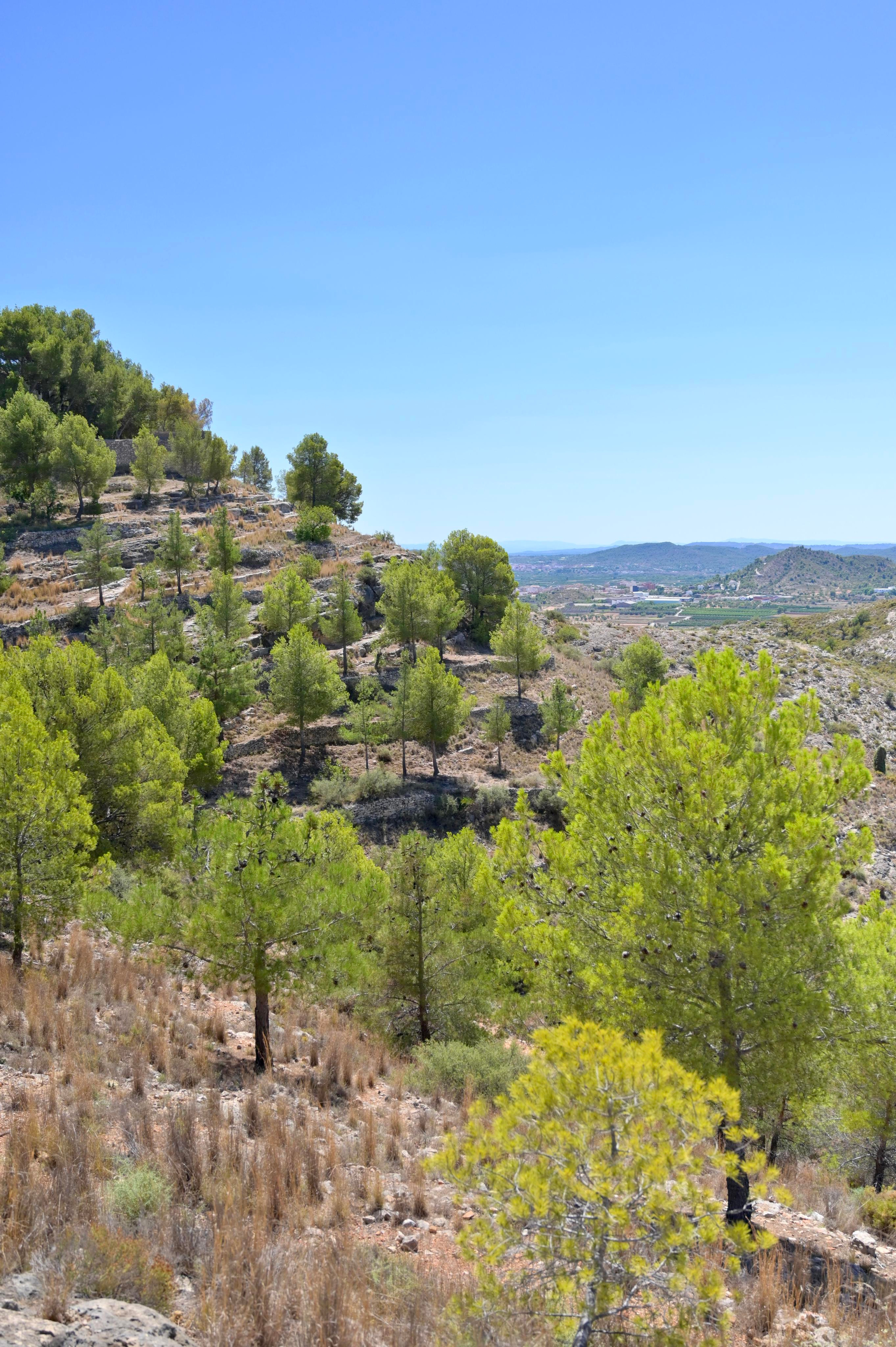 Лирия (Liria, España). Гид и фотограф в Валенсии Новиков Михаил