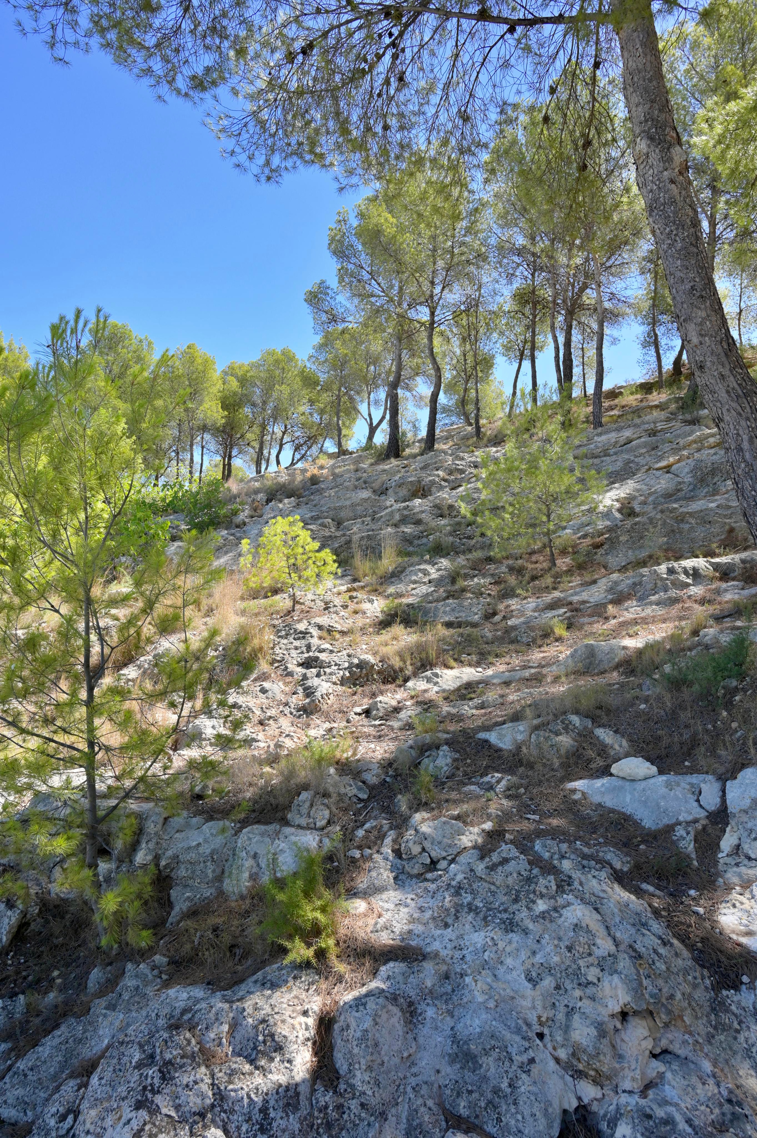 Лирия (Liria, España). Гид и фотограф в Валенсии Новиков Михаил