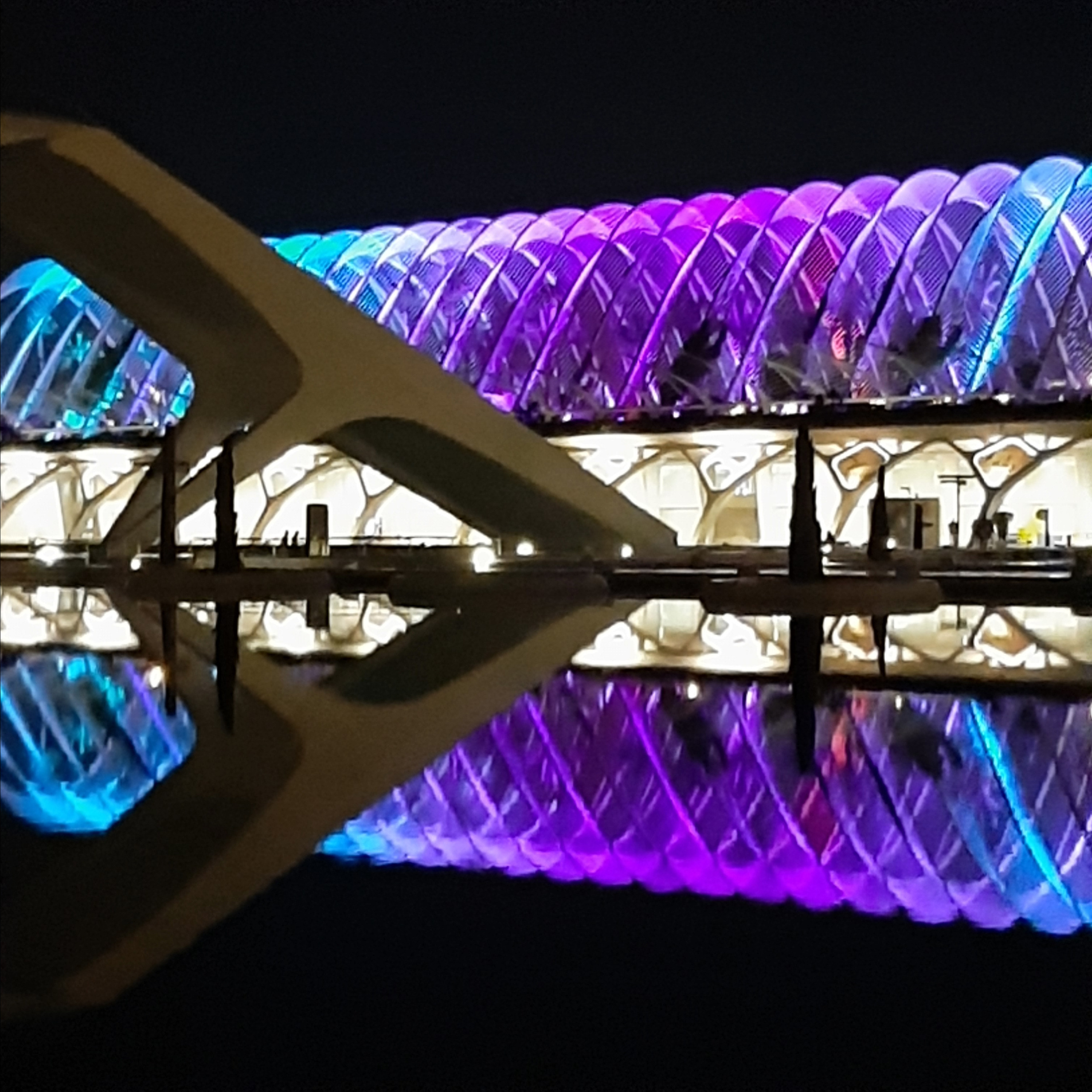 Visita guiada con fotos de la Ciudad de las Artes y las Ciencias. Novikov Mikhail, fotógrafo de Valencia