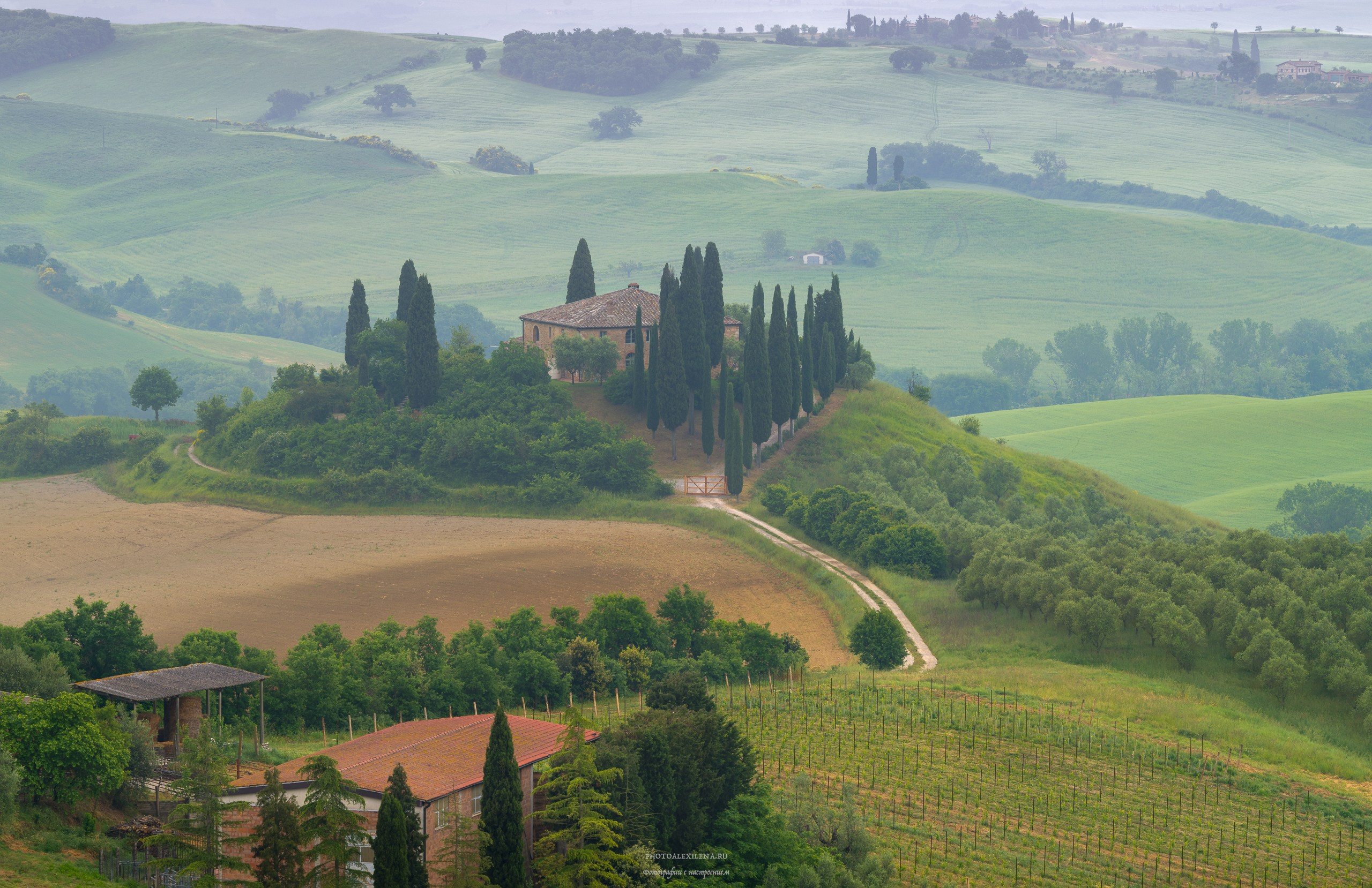 Путешествие сквозь красоту и вдохновение. Авторские стильные фотокартины