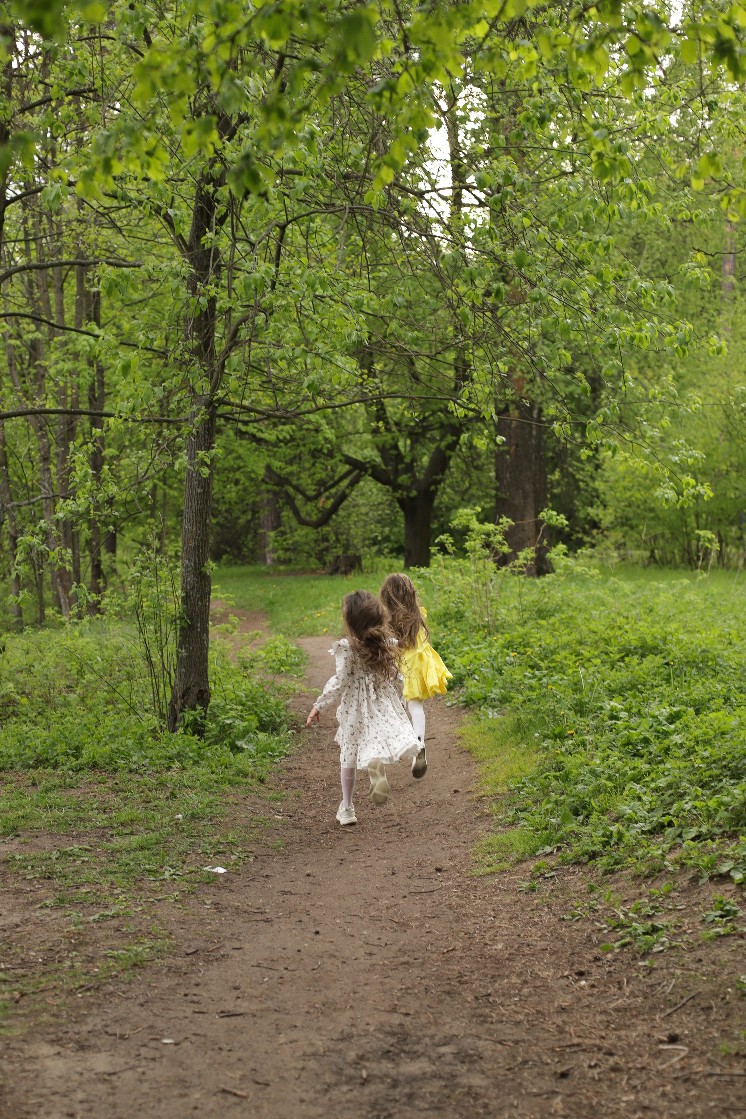 Девочки подружки летом. Диана Николаева — фотограф город Балашиха