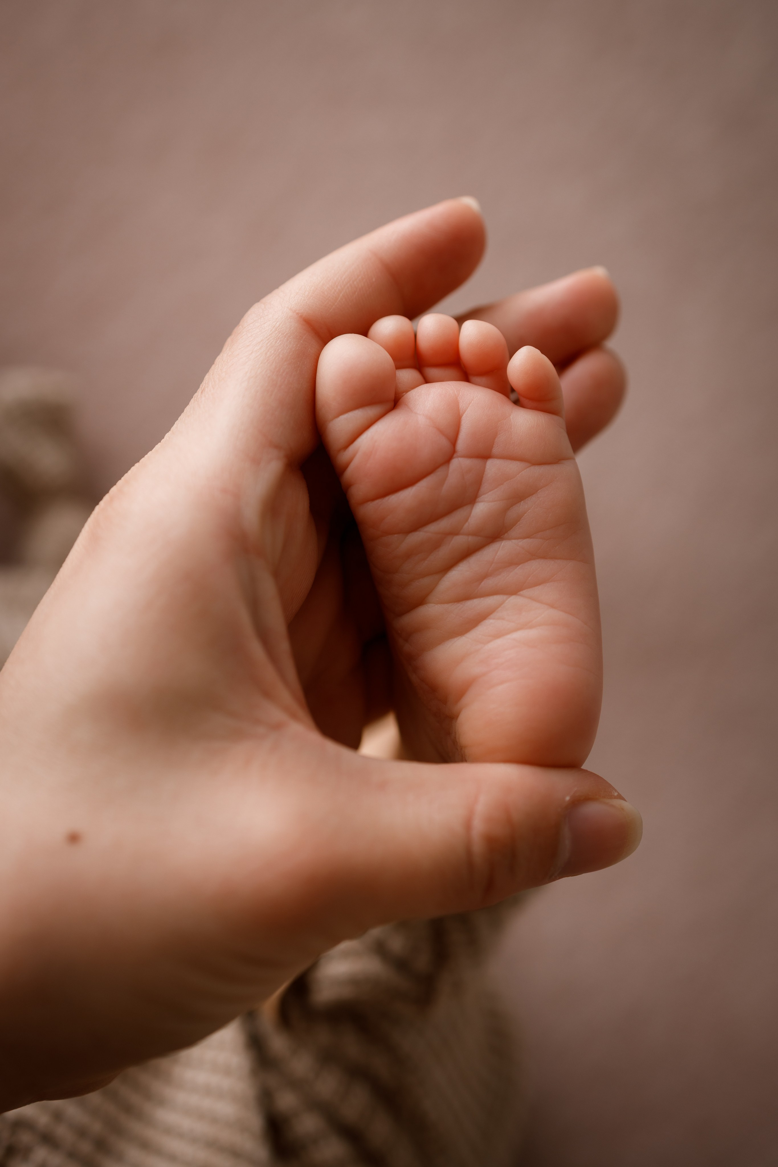 Ньюборн. Яна Кром Фотограф ньюборн в Москве