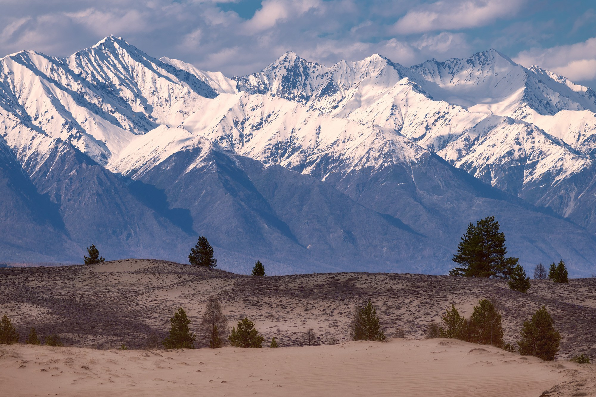 Чарские пески. Май 2026