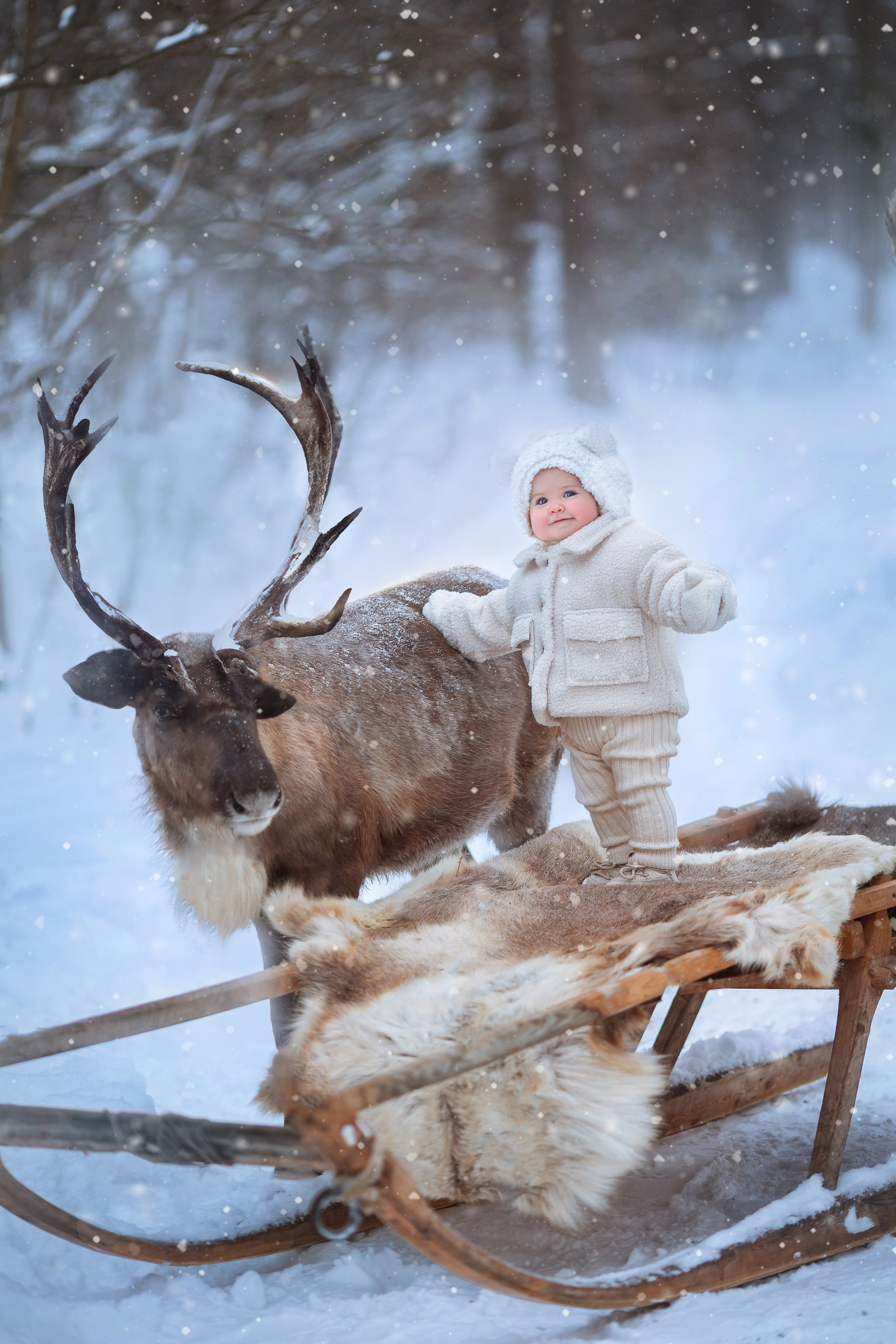 Фотосессия с оленями. Фотограф Лия Милк | Москва, Подмосковье