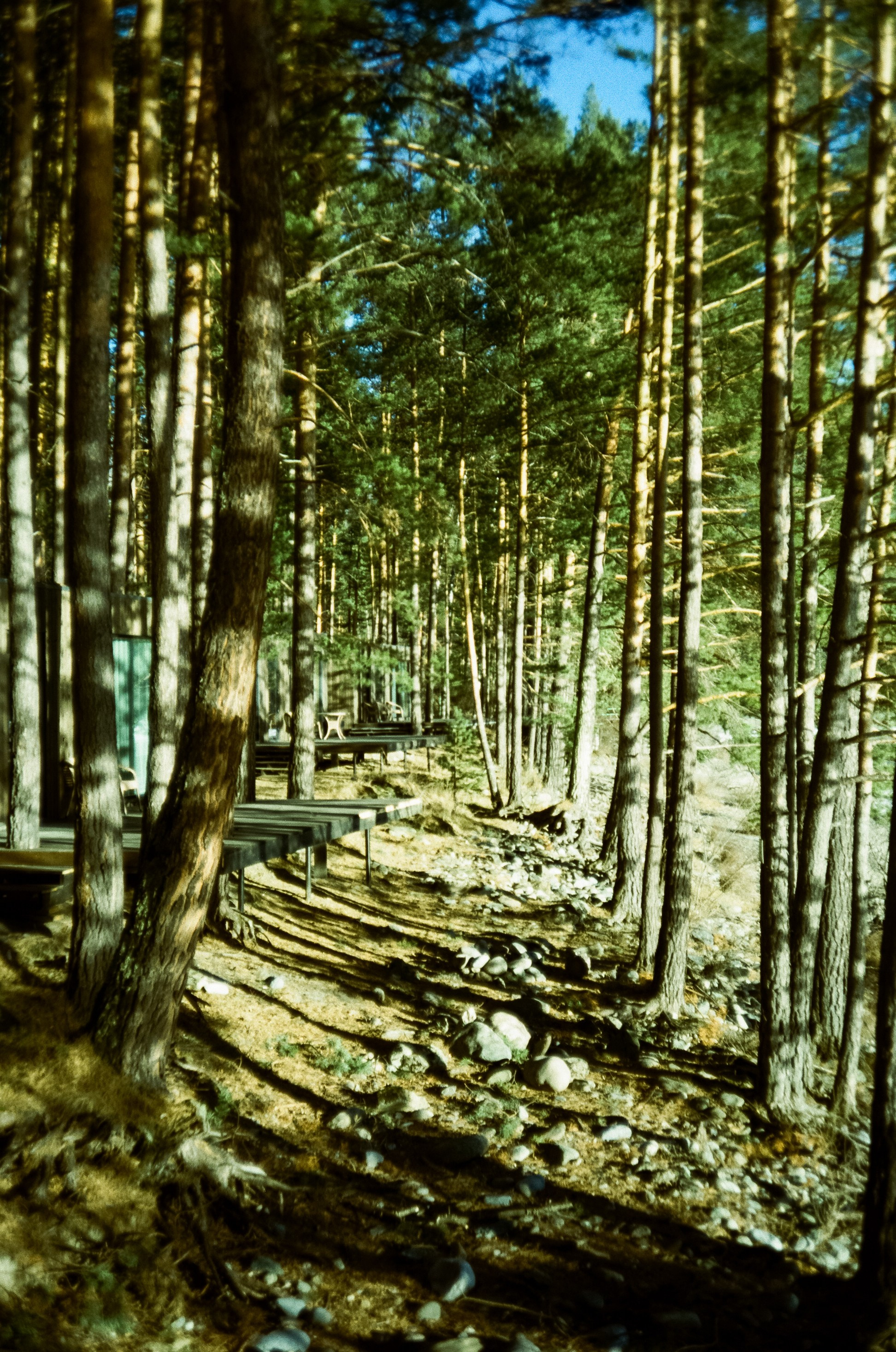 База Берель, база Тихий берег / 23 декабря 2023 года (-10℃)