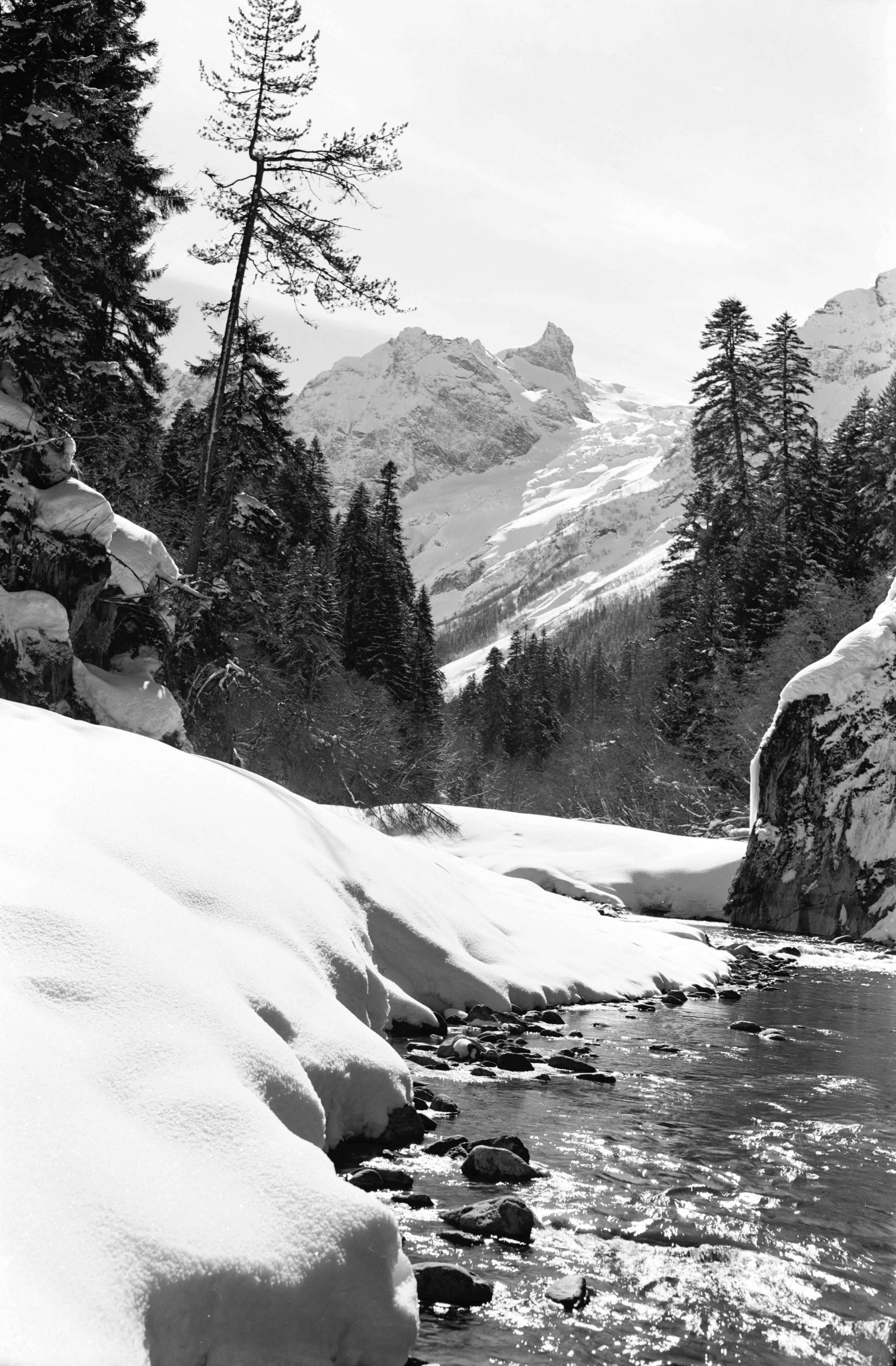Геннадий Кук. Курортное дело