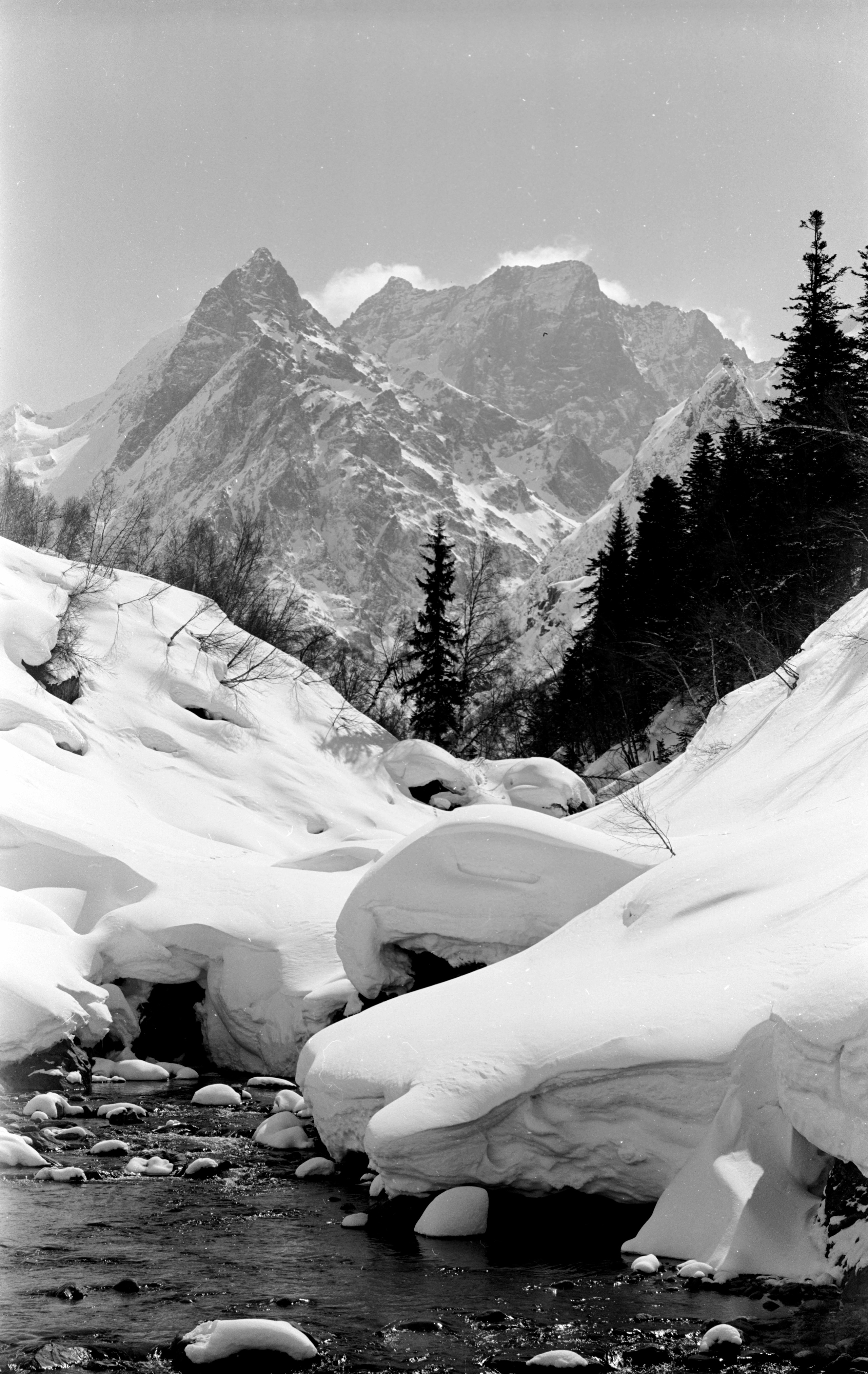 Геннадий Кук. Курортное дело