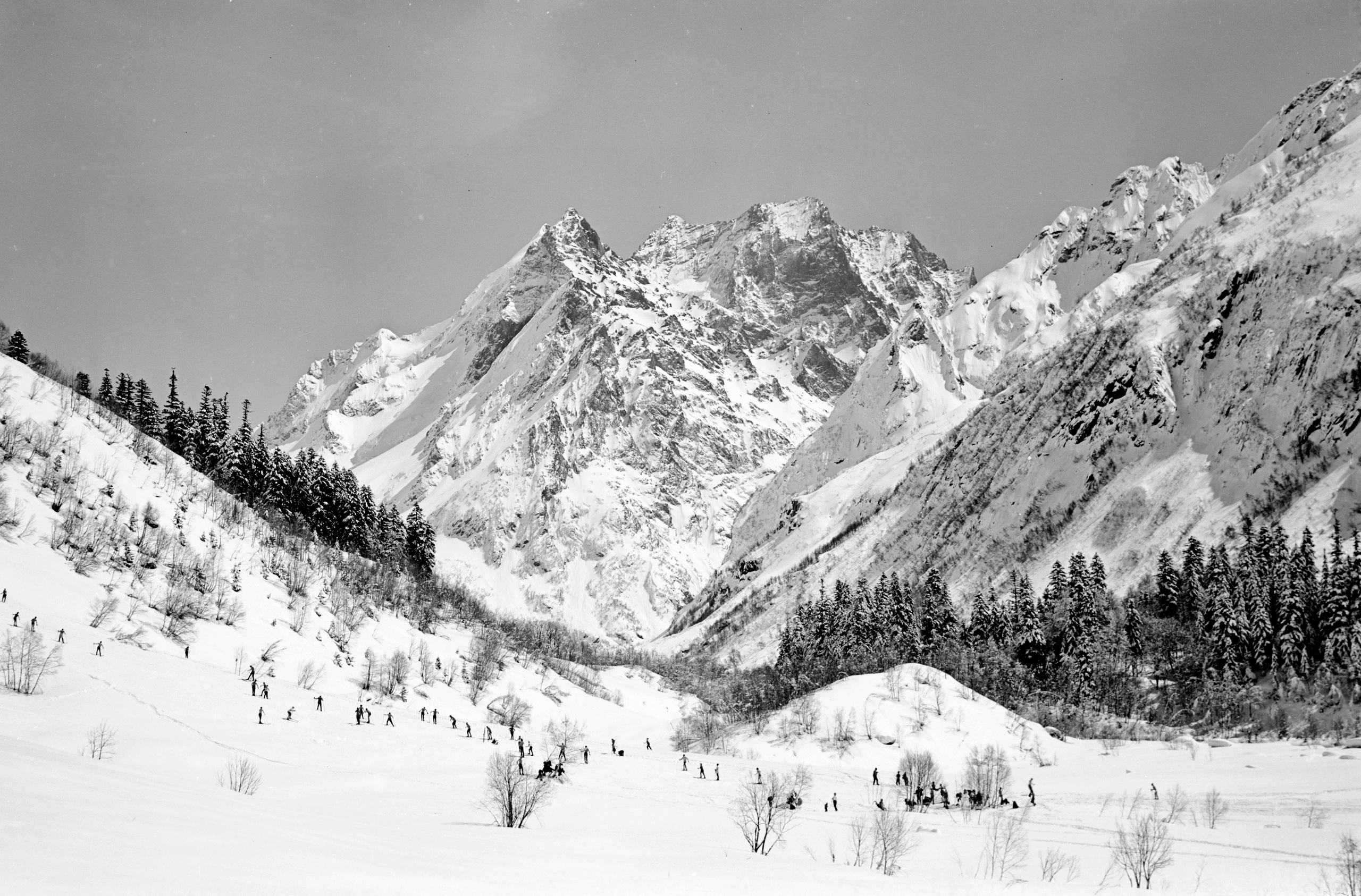Геннадий Кук. Курортное дело