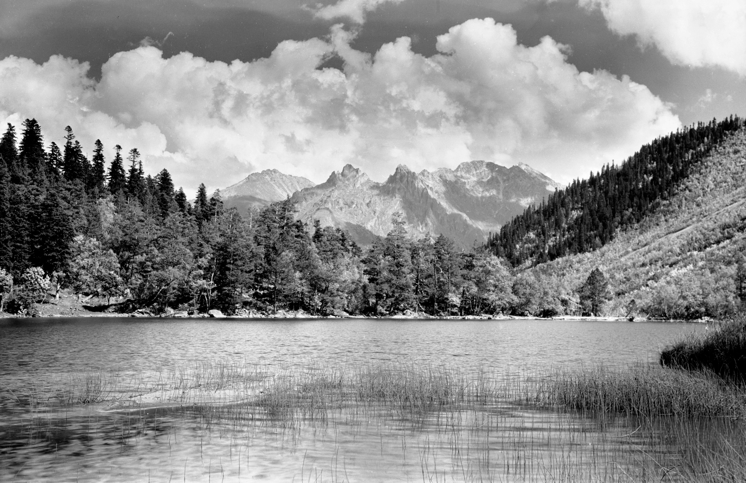 Геннадий Кук. Курортное дело