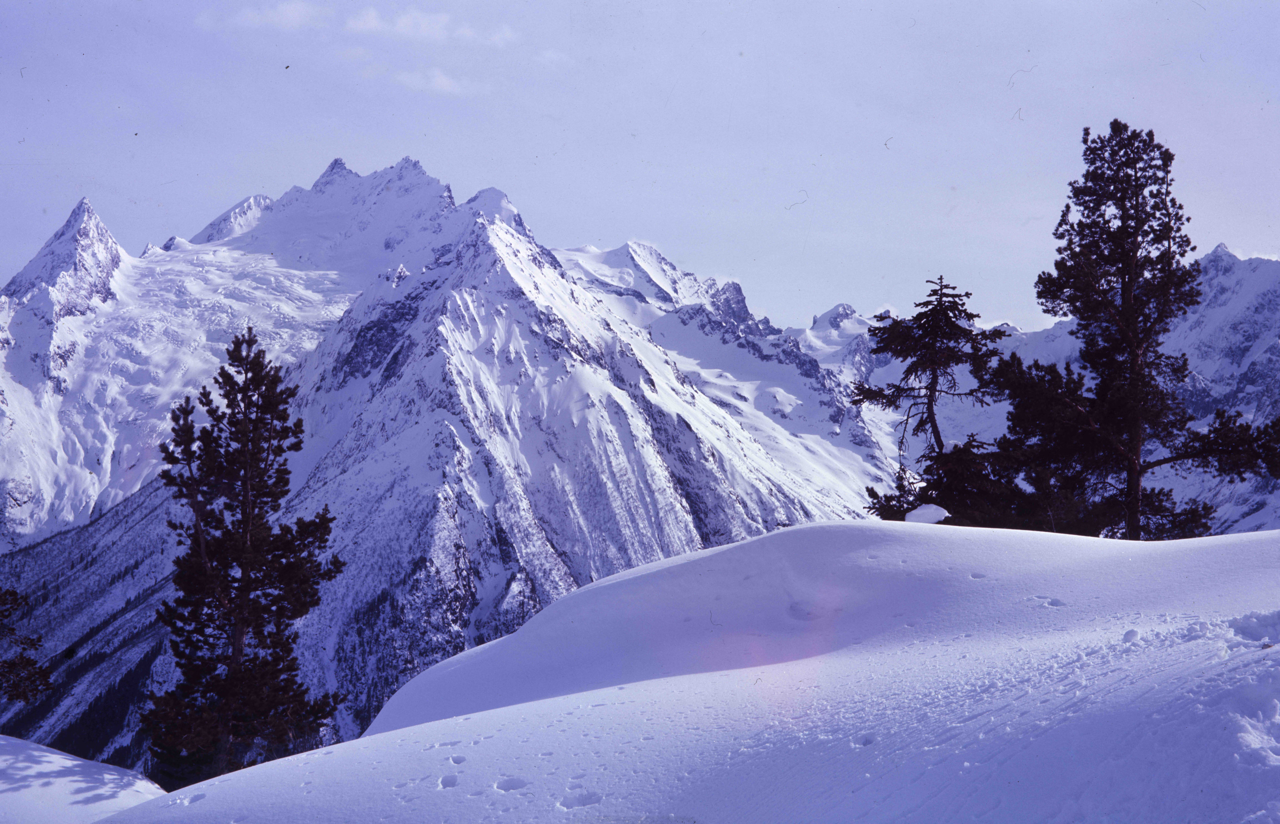 Геннадий Кук. Курортное дело