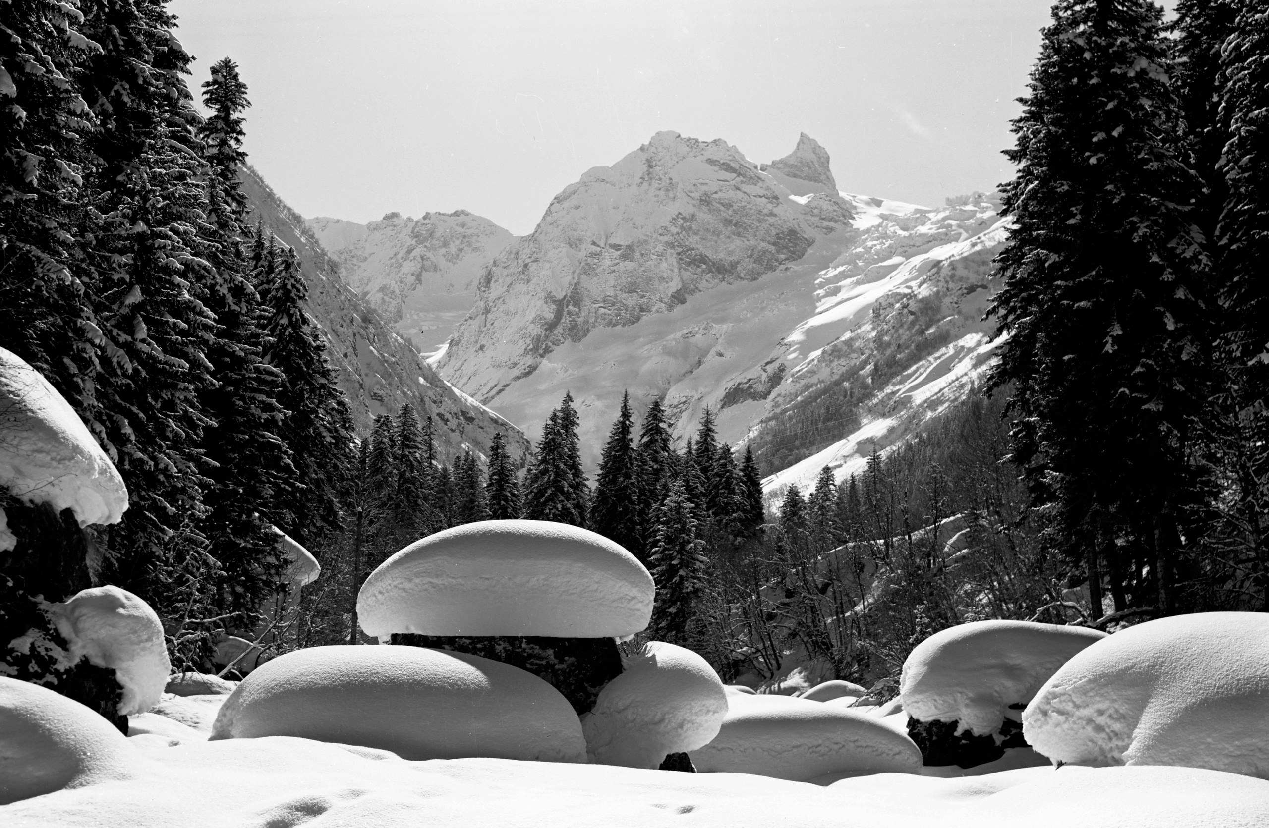 Геннадий Кук. Курортное дело