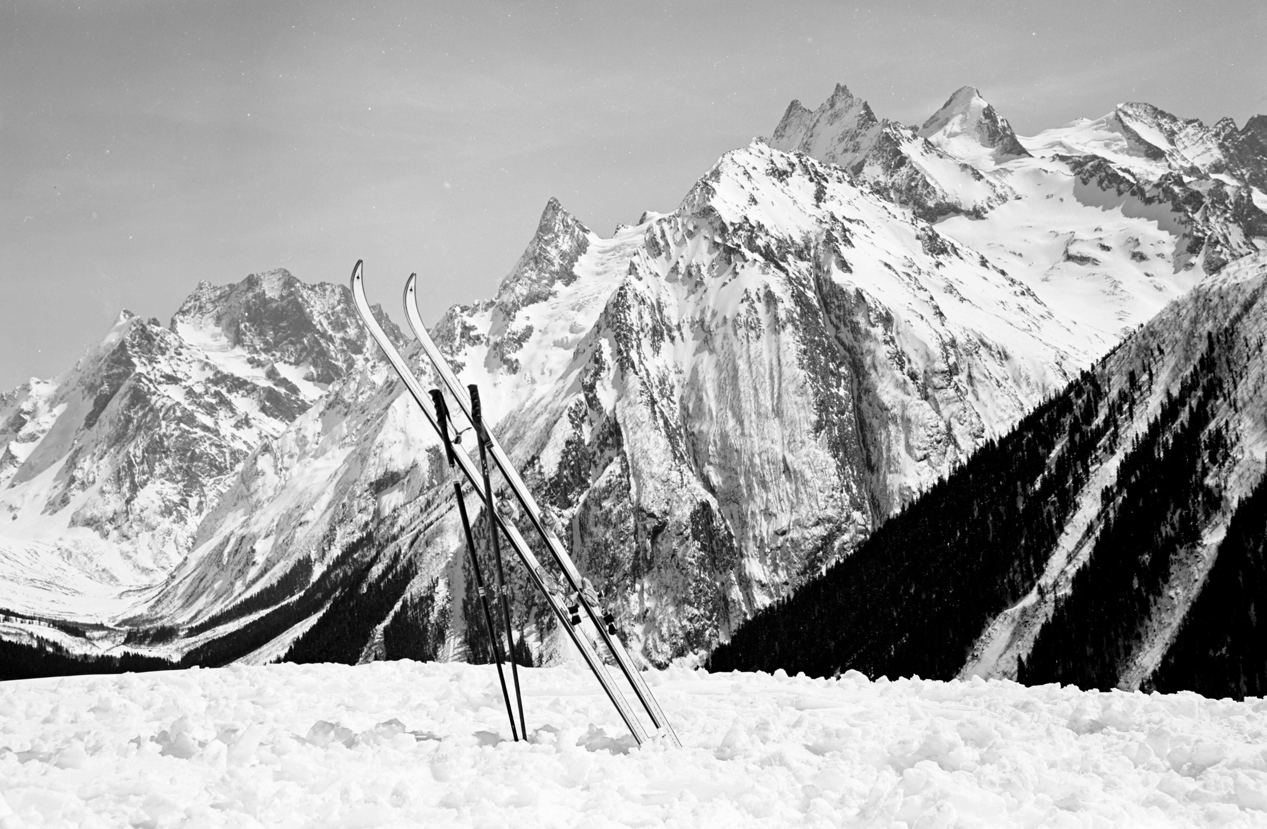 Геннадий Кук. Курортное дело
