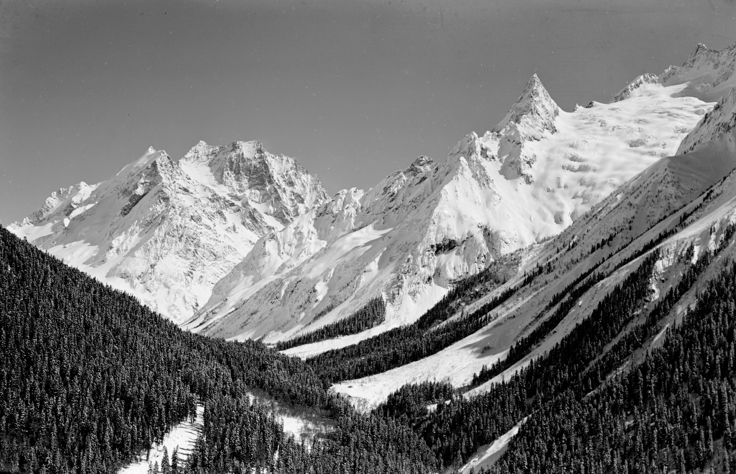 Геннадий Кук. Курортное дело