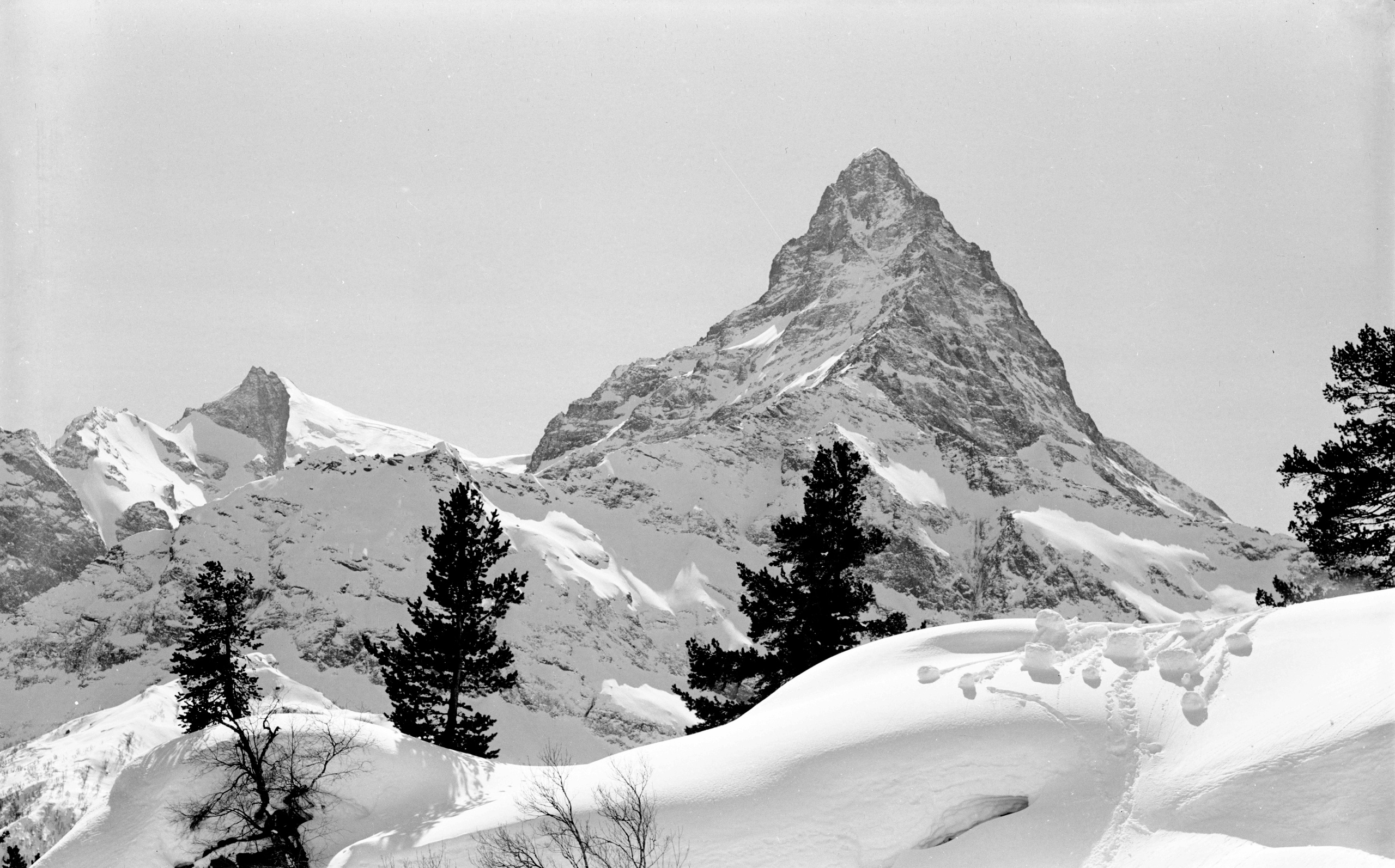 Геннадий Кук. Курортное дело