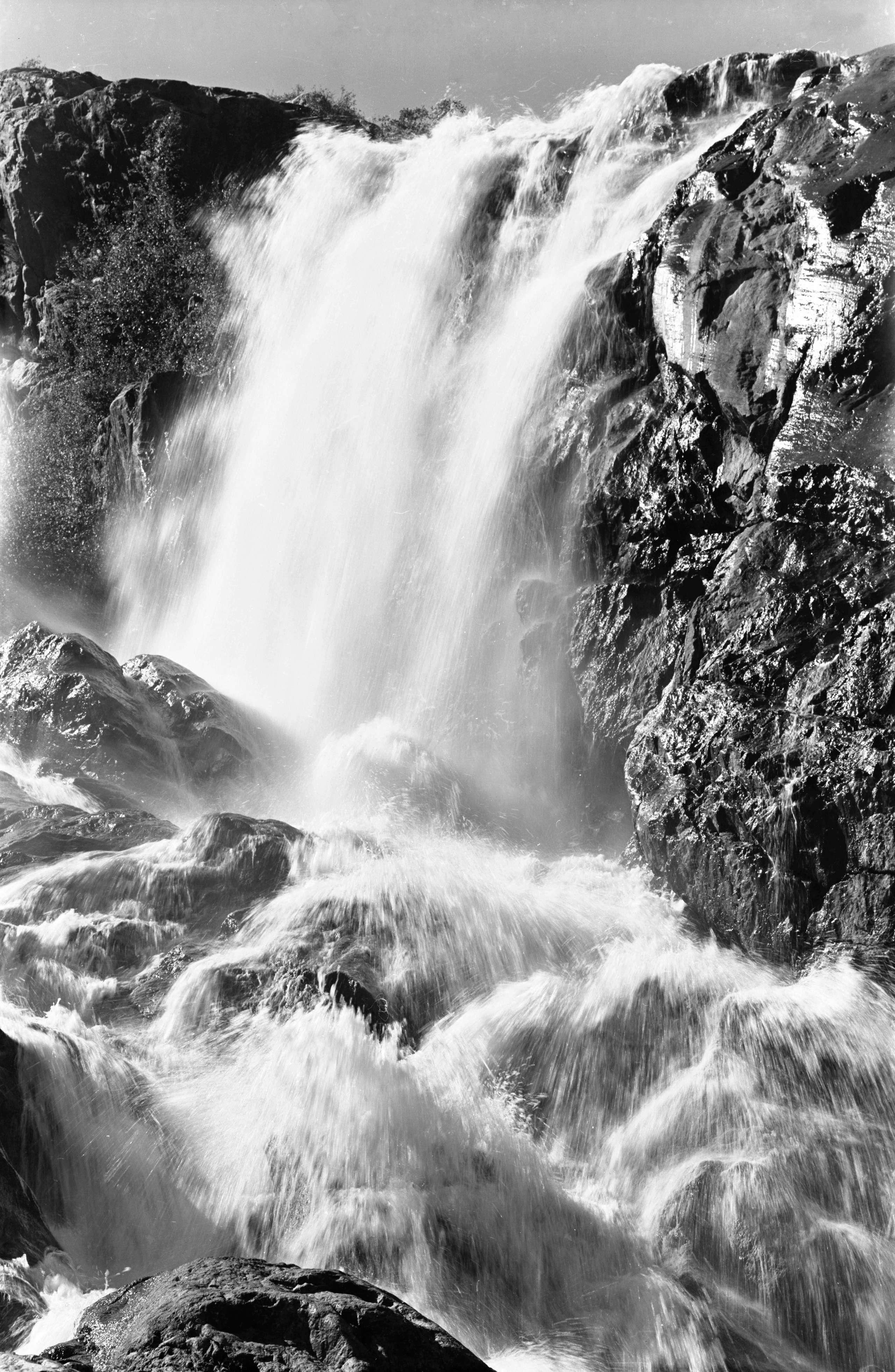 Геннадий Кук. Курортное дело