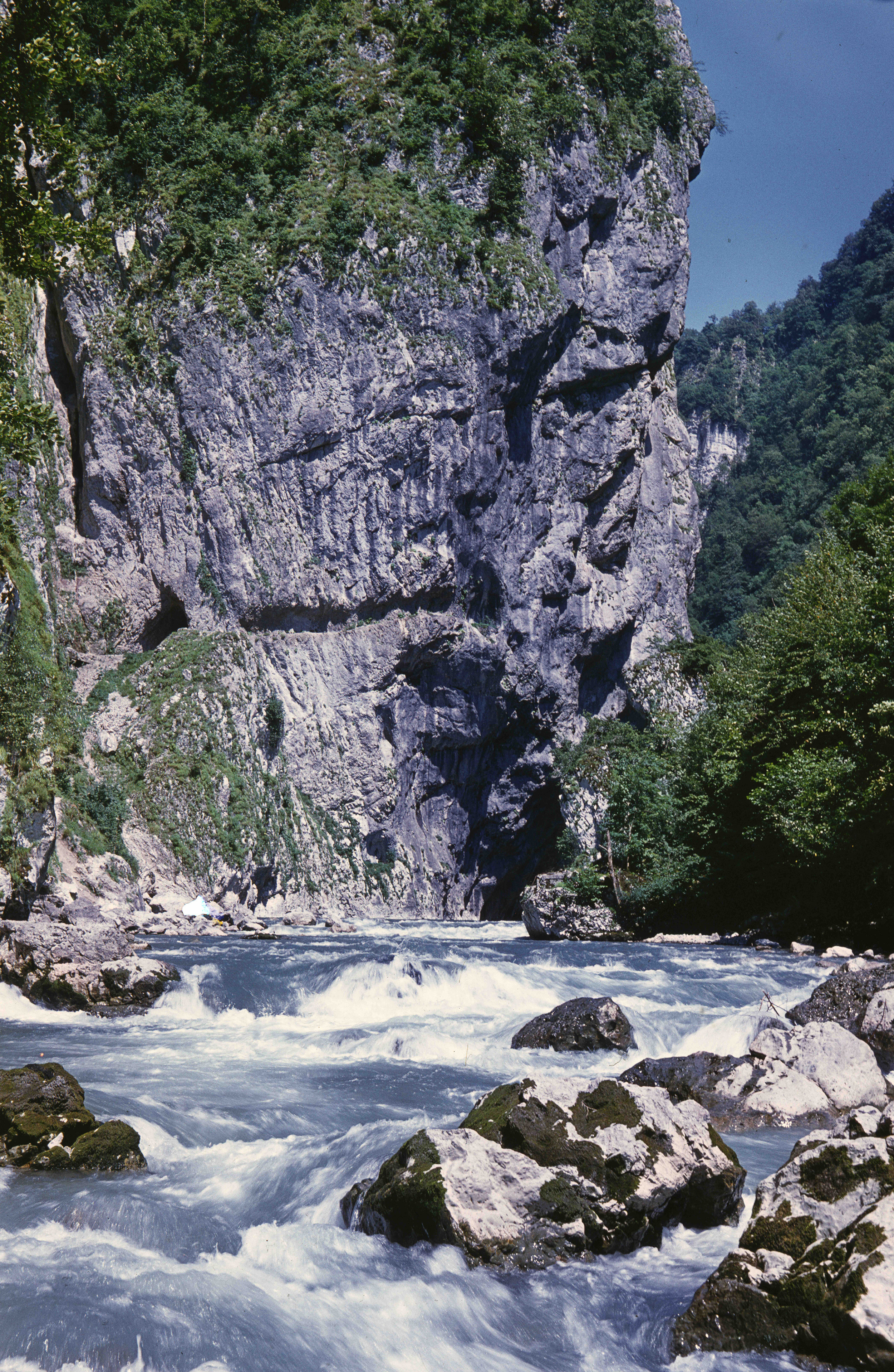 Геннадий Кук. Курортное дело