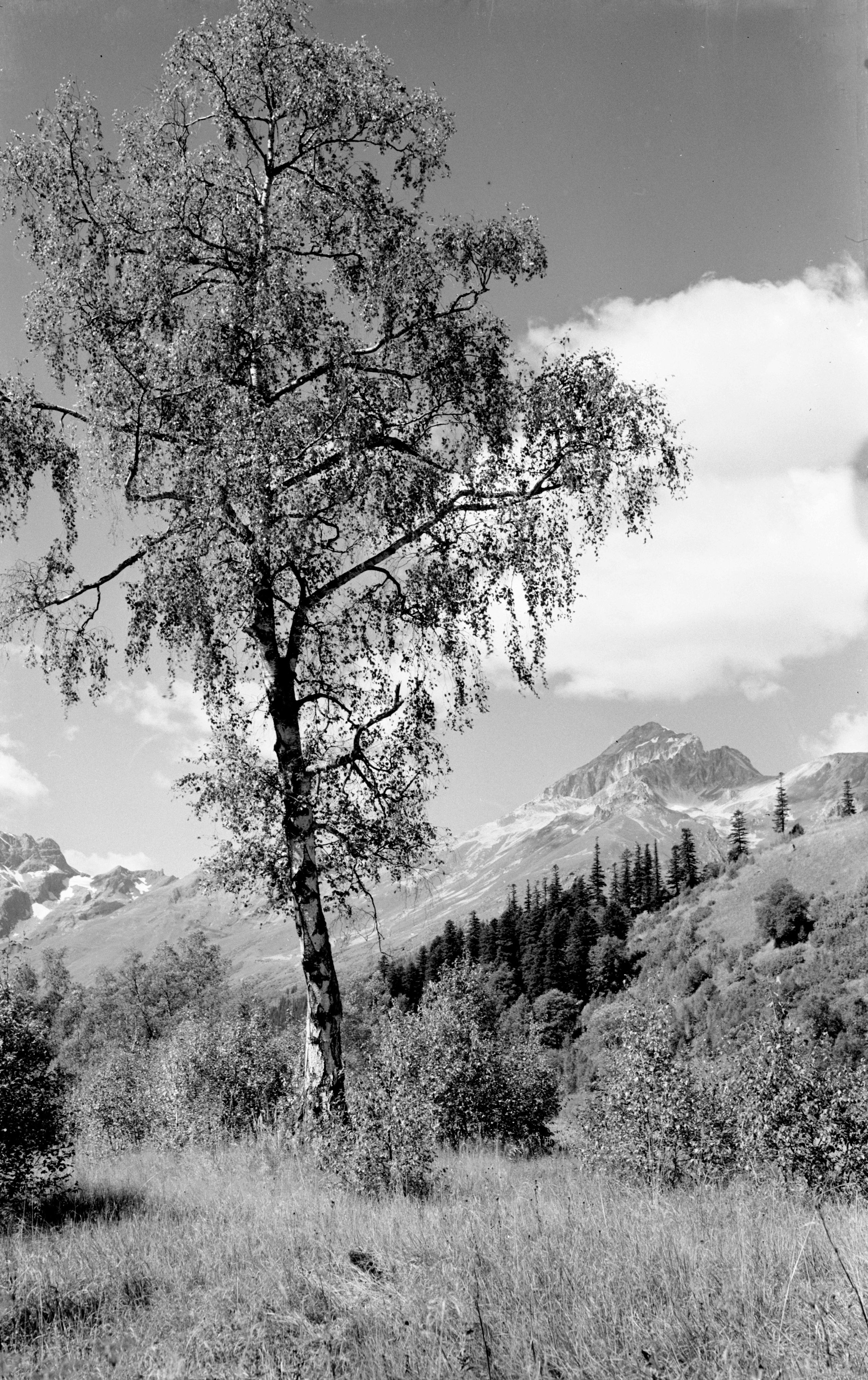 Геннадий Кук. Курортное дело