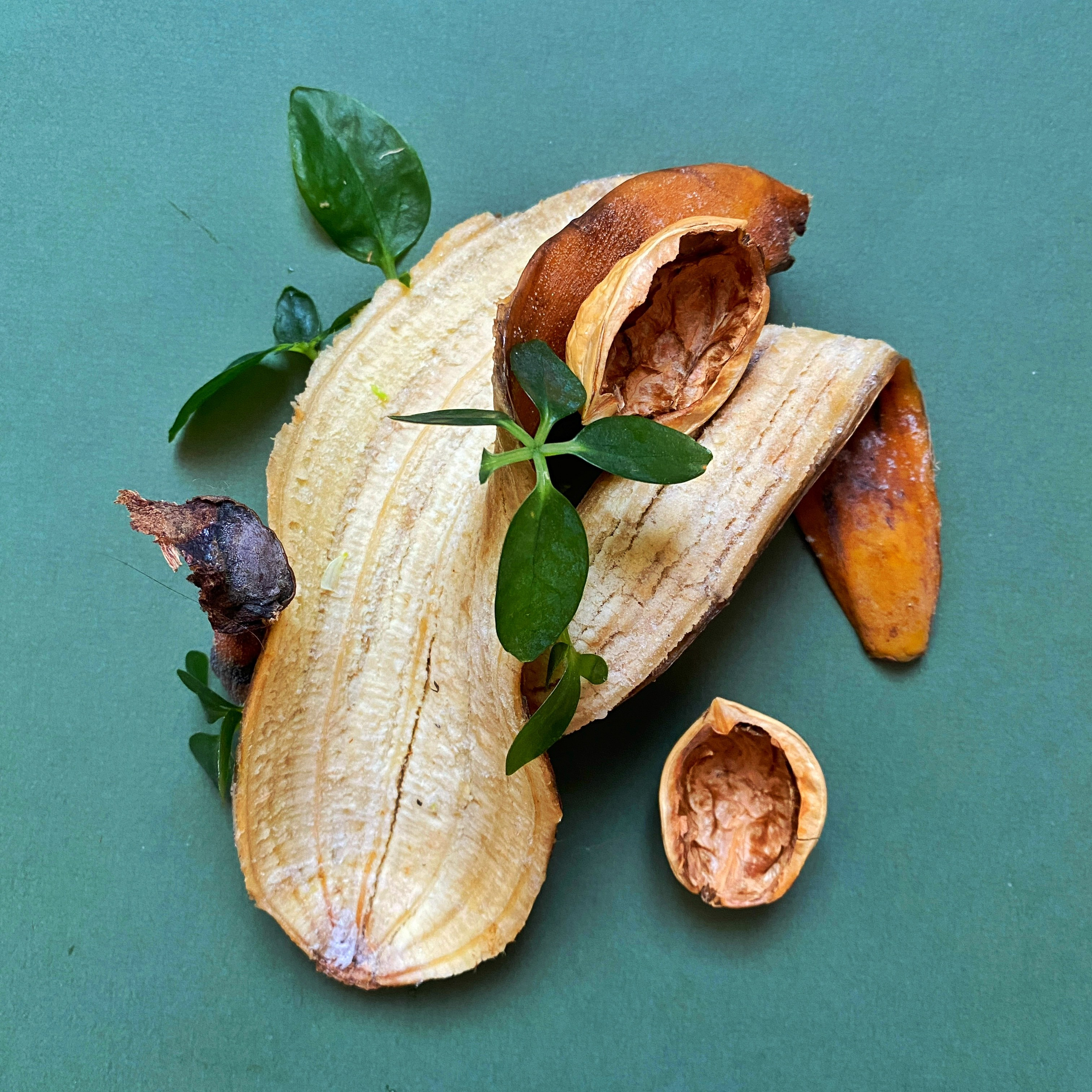 Эль Компостэ'24. Khorevali Лиза Хорева