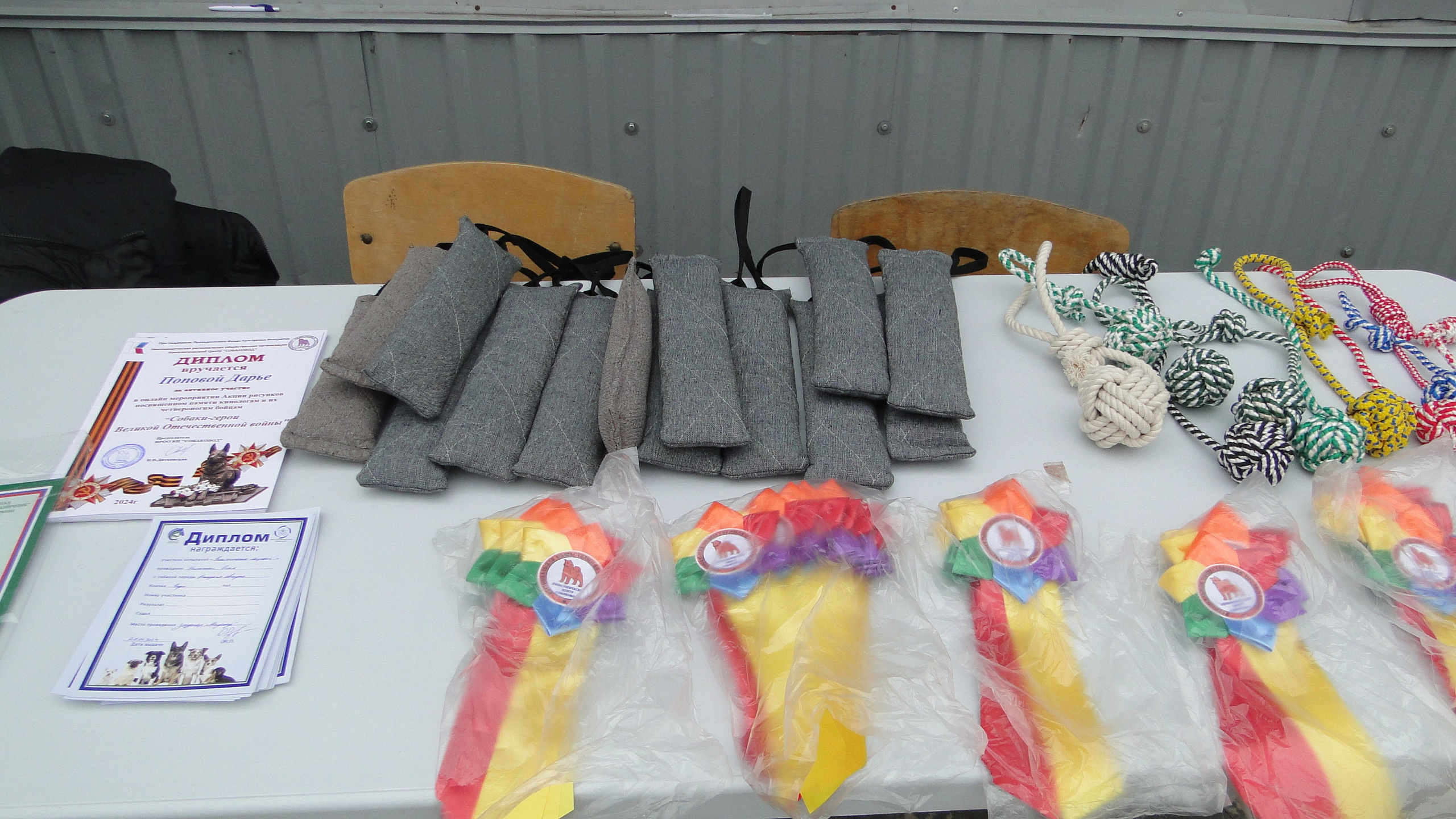 Кинологические старты. НРОО КЦ "Собаковод"