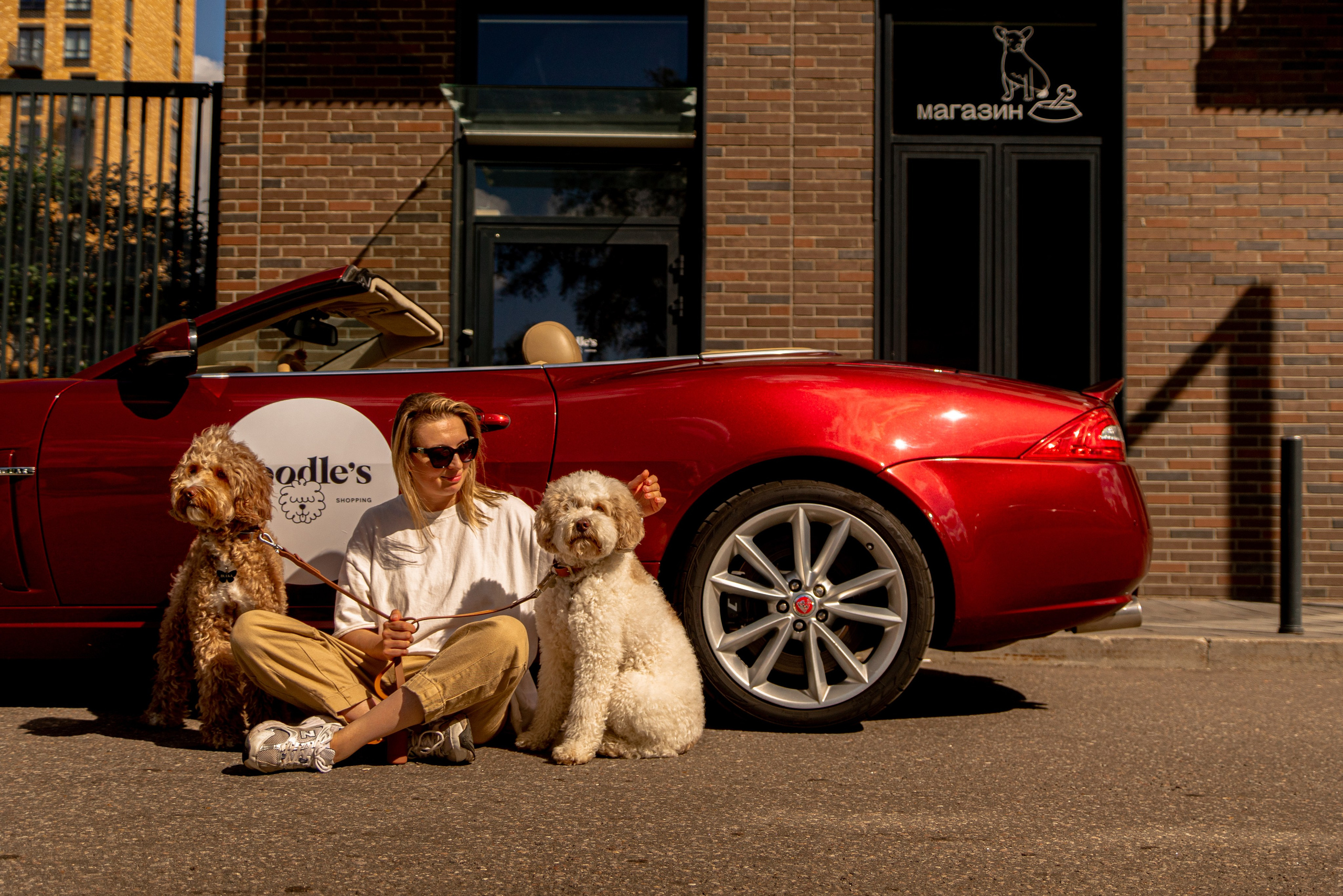 Фотосъемка груминг салона , съемка собак в кабриолете. Жуков Илья свадебный фотограф в Москве