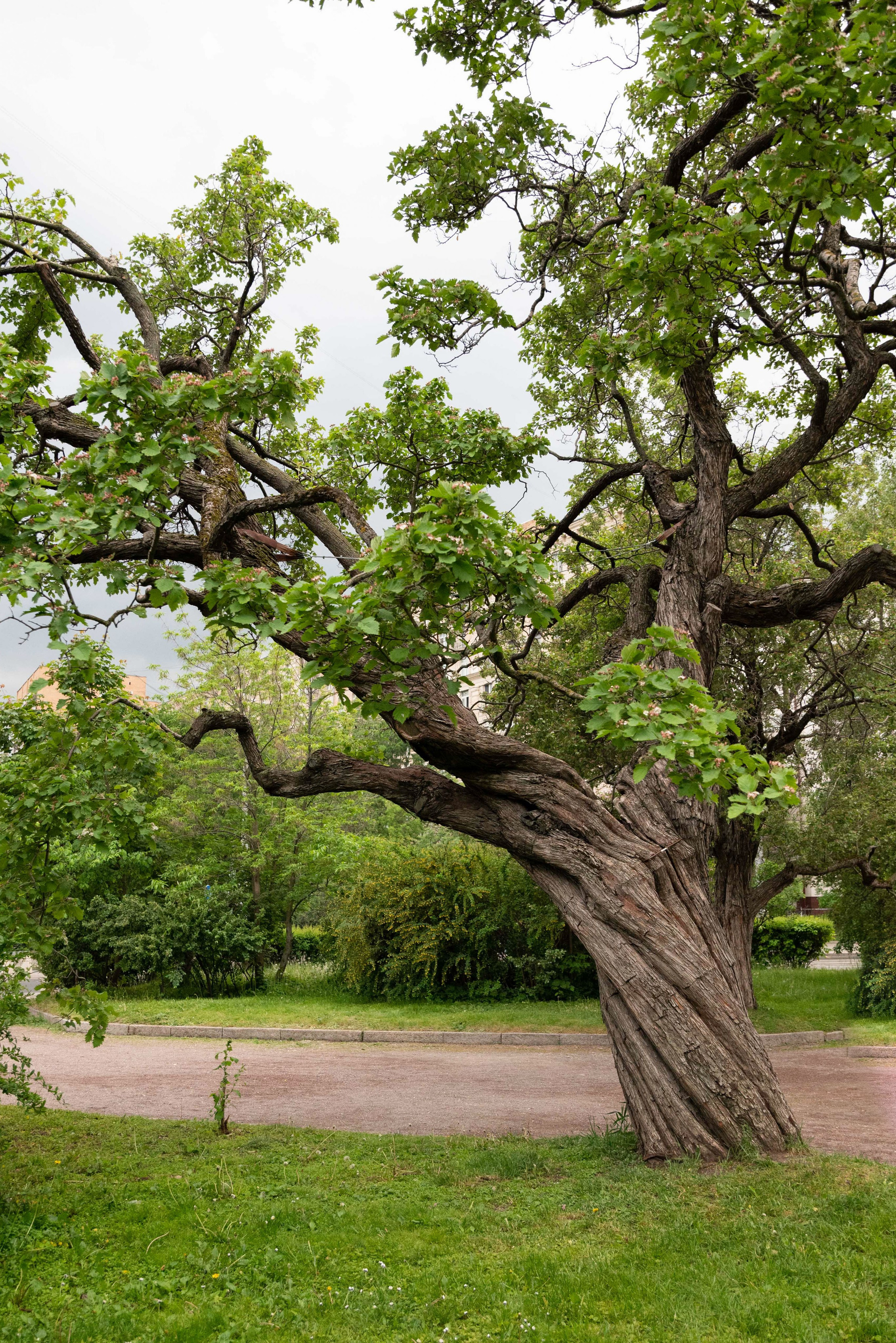 Парк ЕКАТЕРИНИНСКИЙ обзор. Фотограф в Москве и Московской области (Ю-В) Олеся Макарова