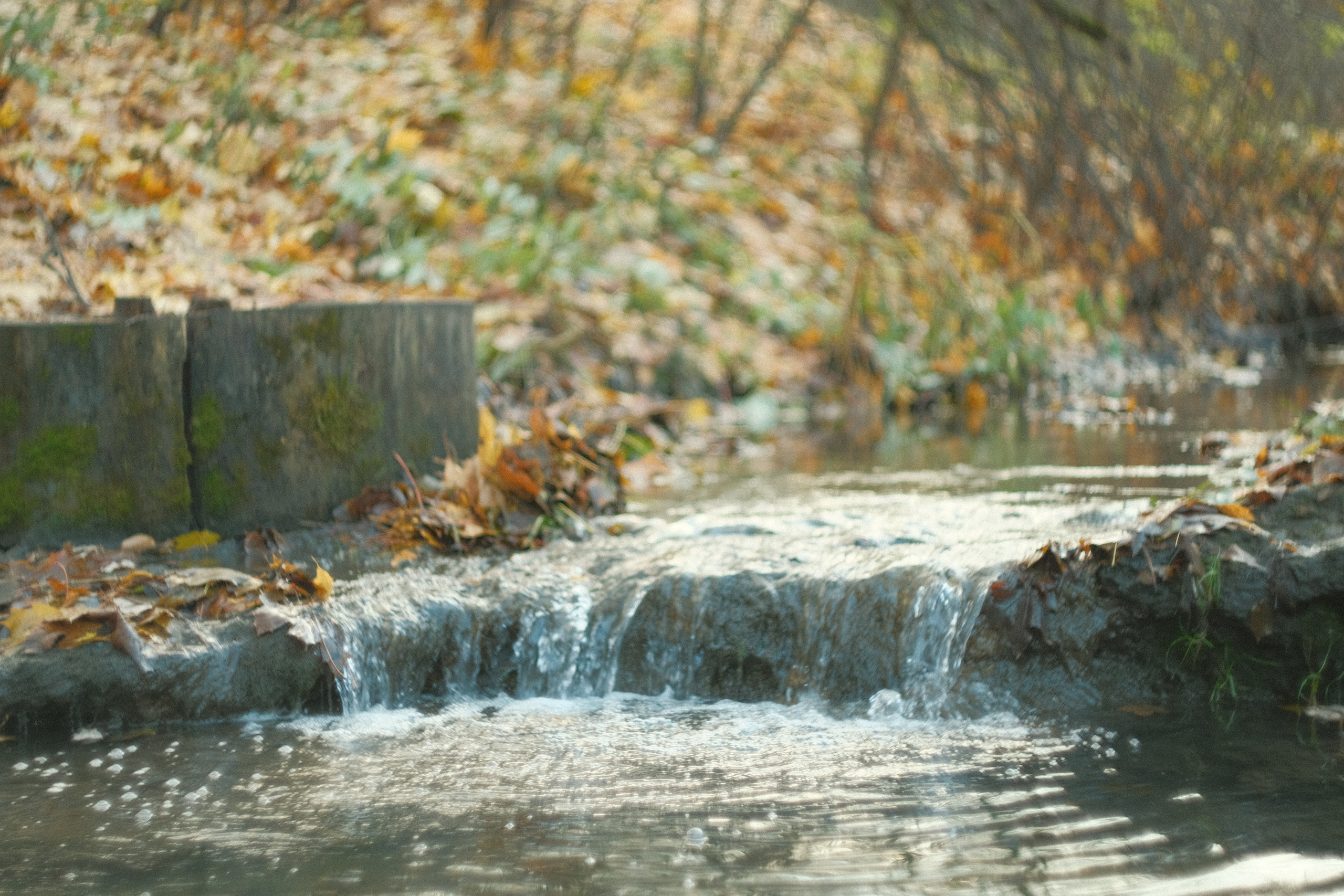 Коломенское, осень, объектив Гелиос 77м4. Фотограф в Москве Максим Скоробогатов