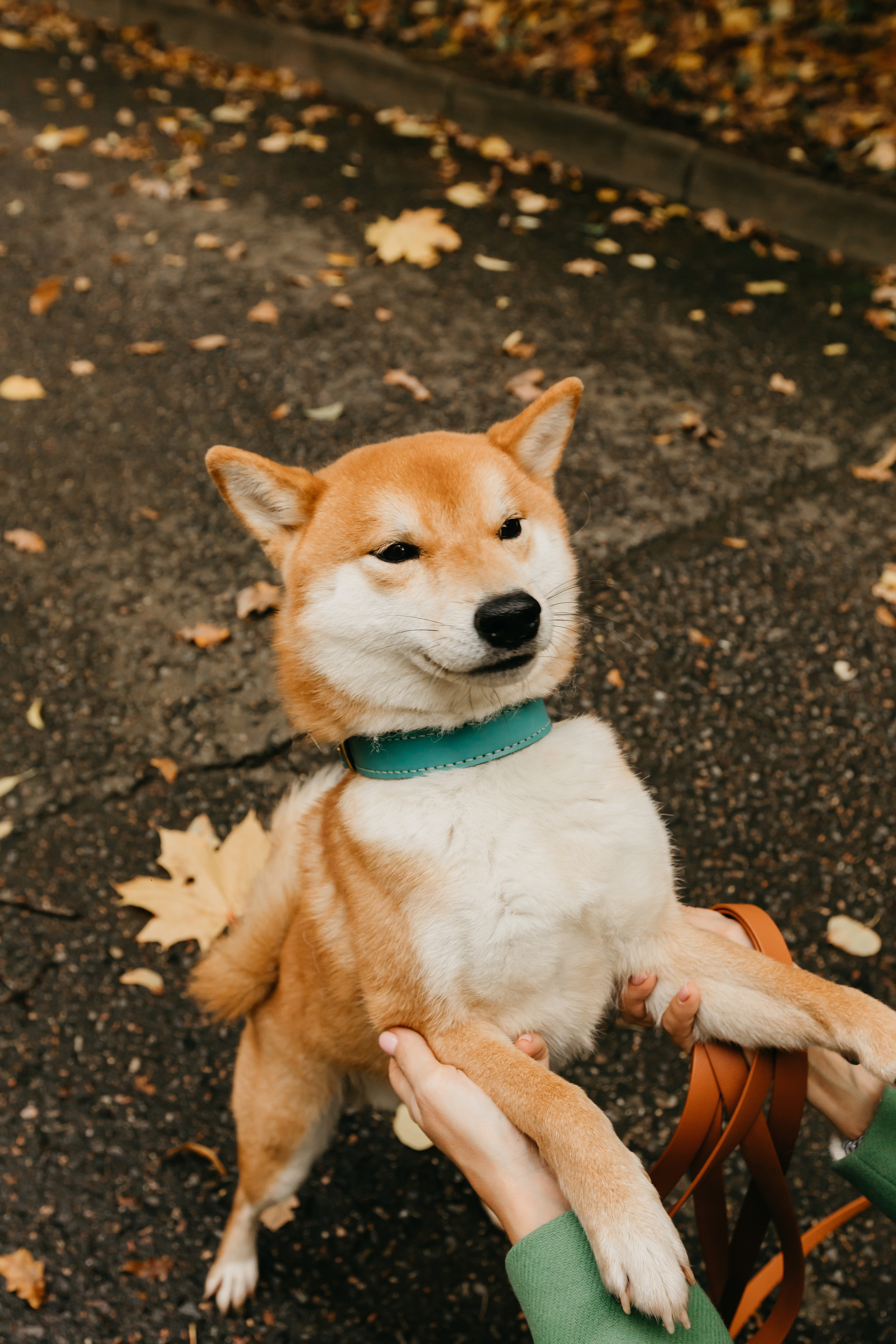 Индивидуальная фотосессия. Krumstudio фото, видео по Москве и МО