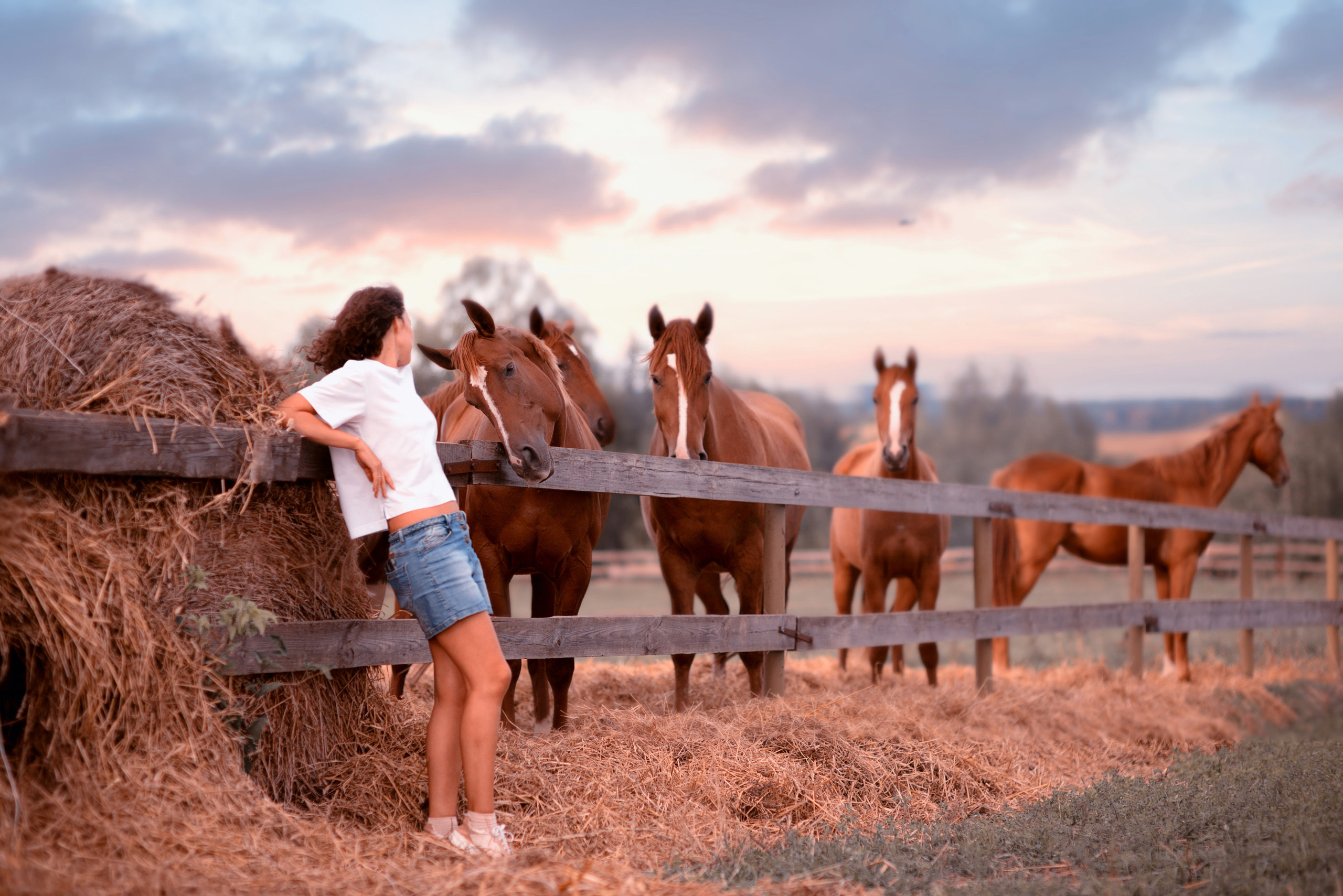 Фотограф Москва — Серпухов — Таруса Ольга Кокеткина