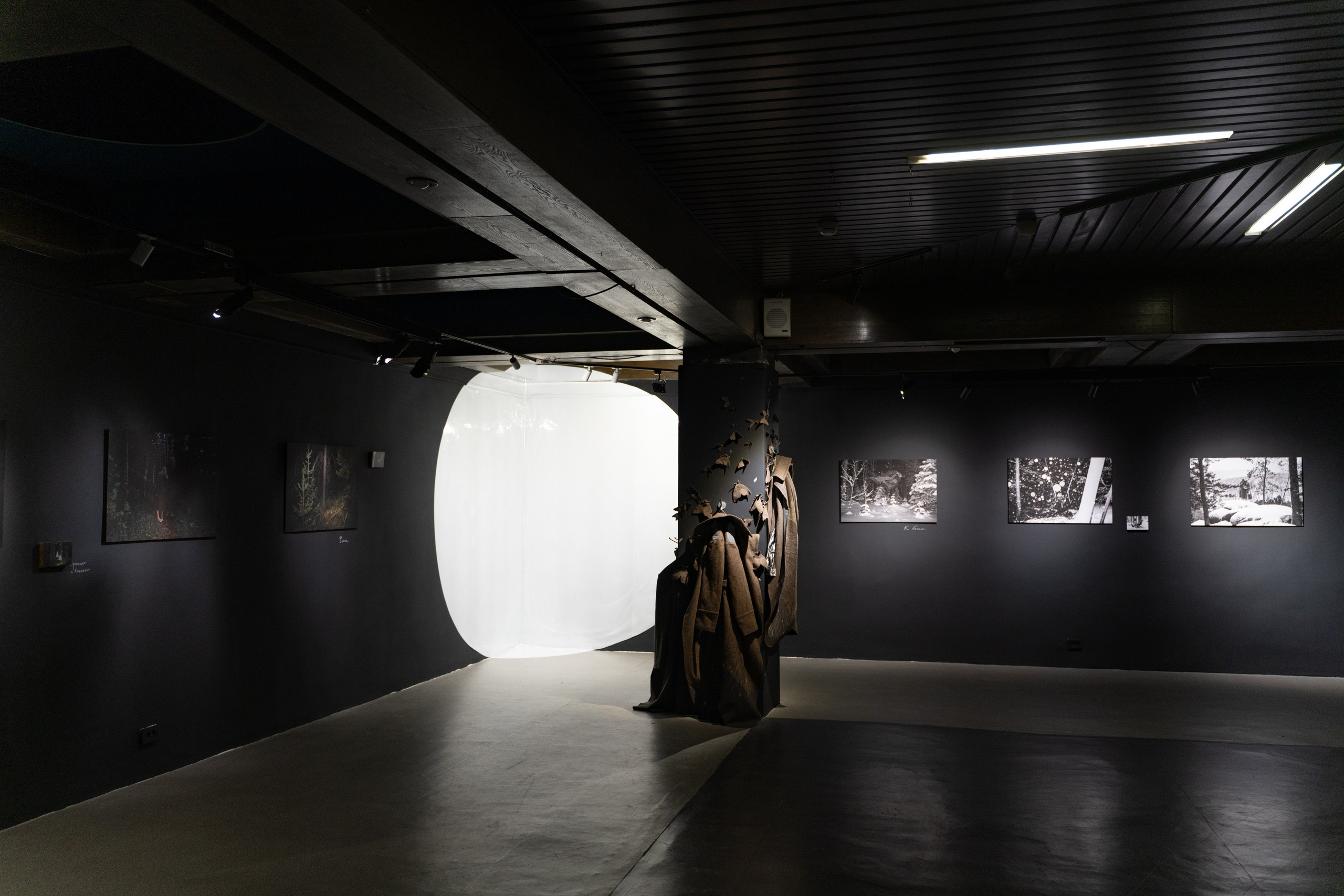 Пристанище. Элина Гусарова