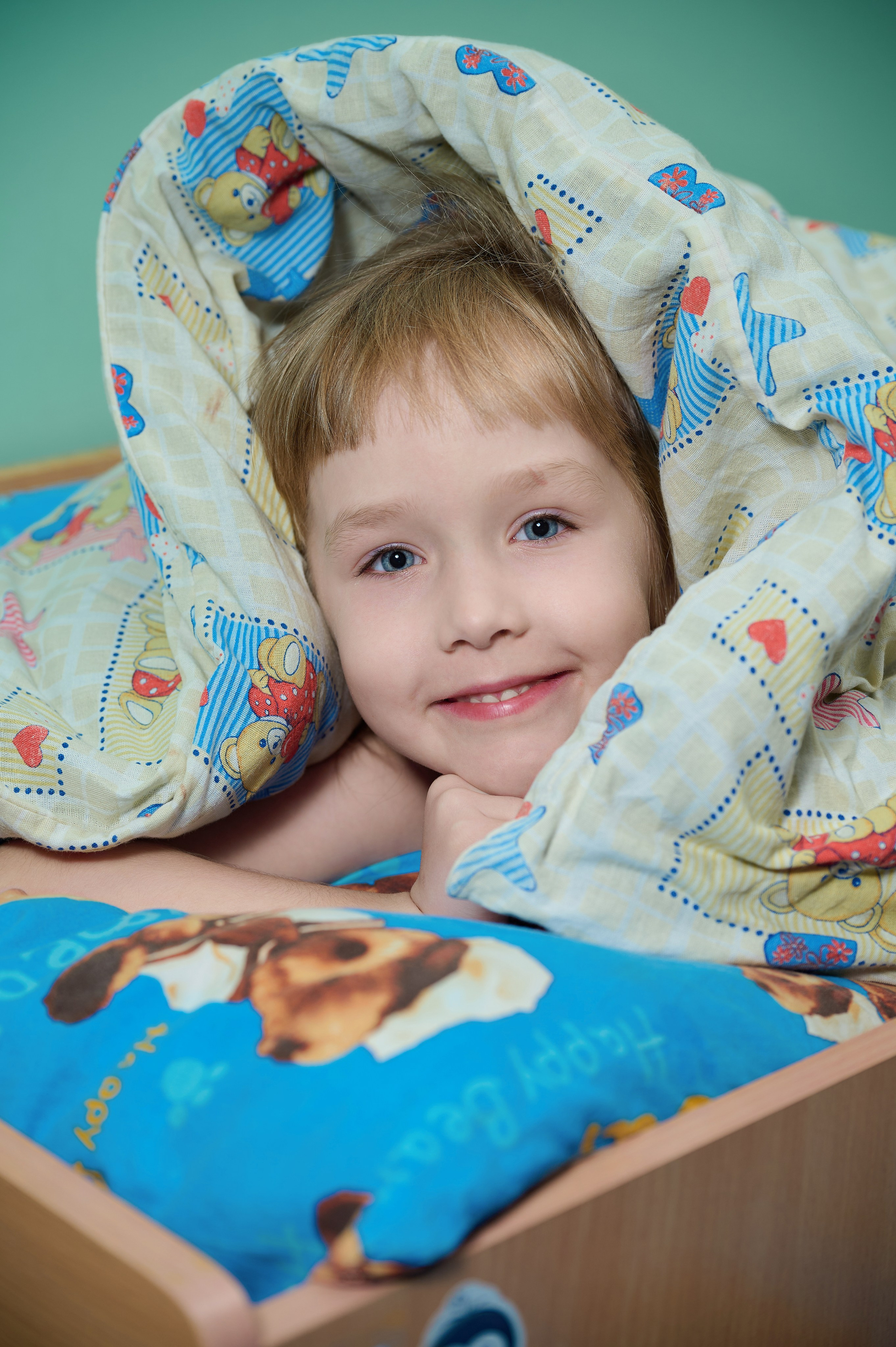 Выпускной альбом. Выпускной альбом Выборг, Каменногорск, Светогорск, Санкт-Петербург