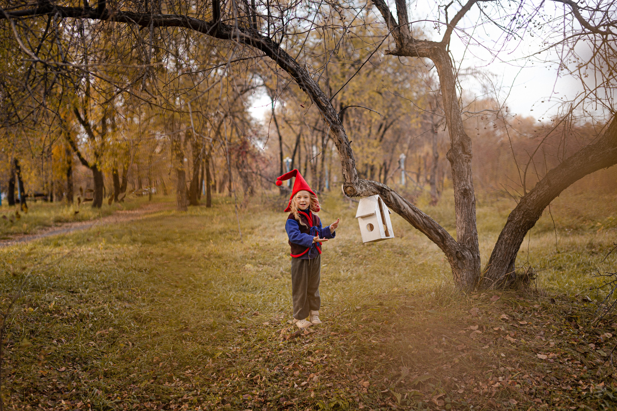 Лесные гномы