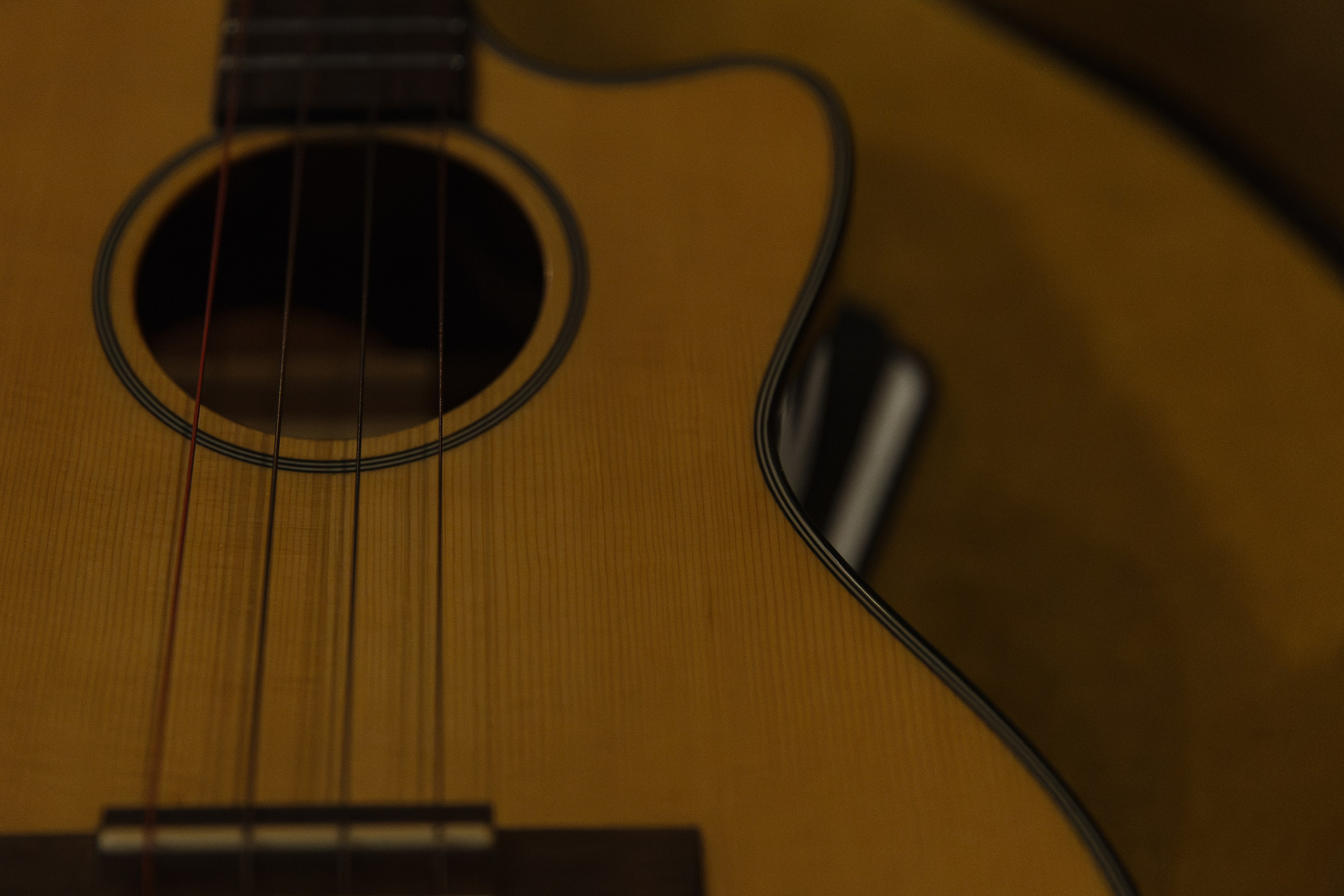 Полина | Тамерлан