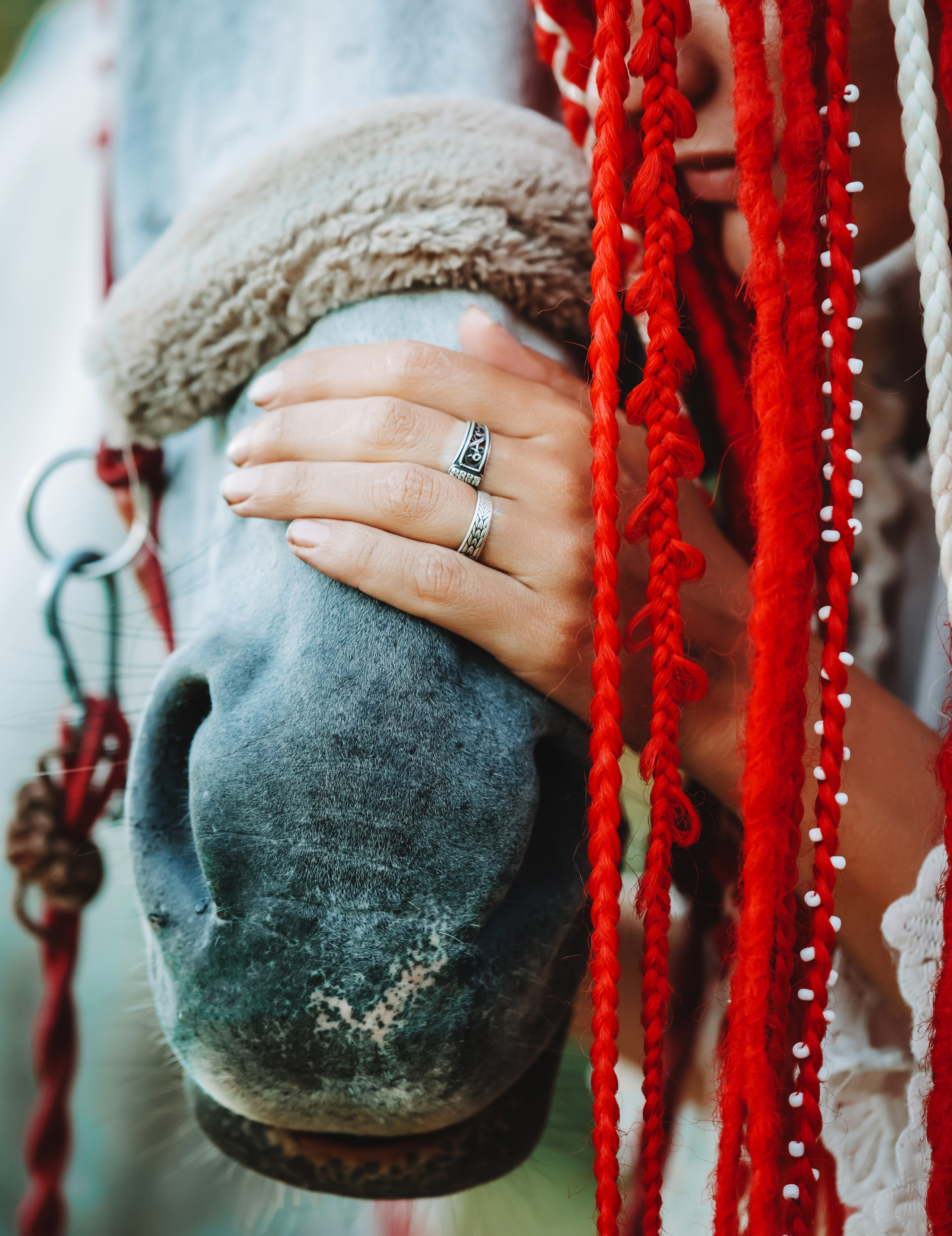 Фотосессии с лошадьми в Петрозаводске. Фотограф Варвара Ермоленко