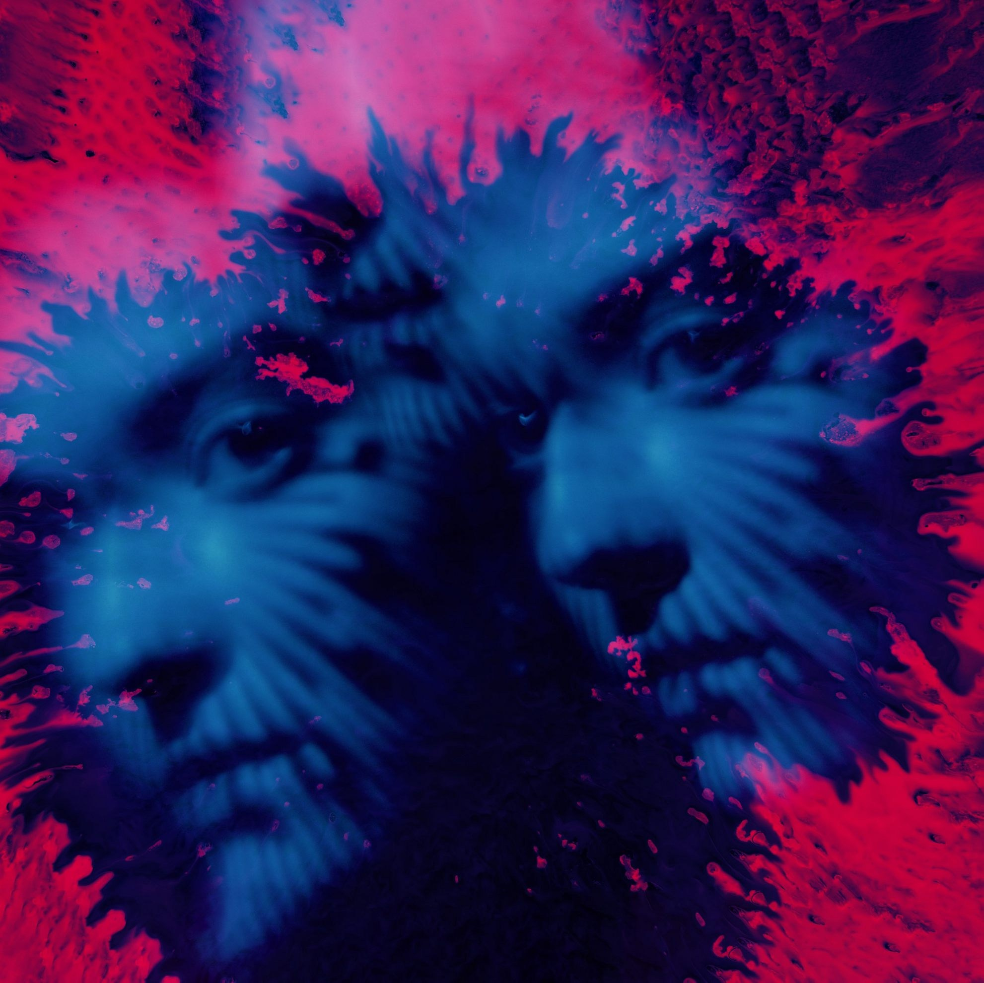 PAST LIVES. Eduard Kopysov — International visual artist