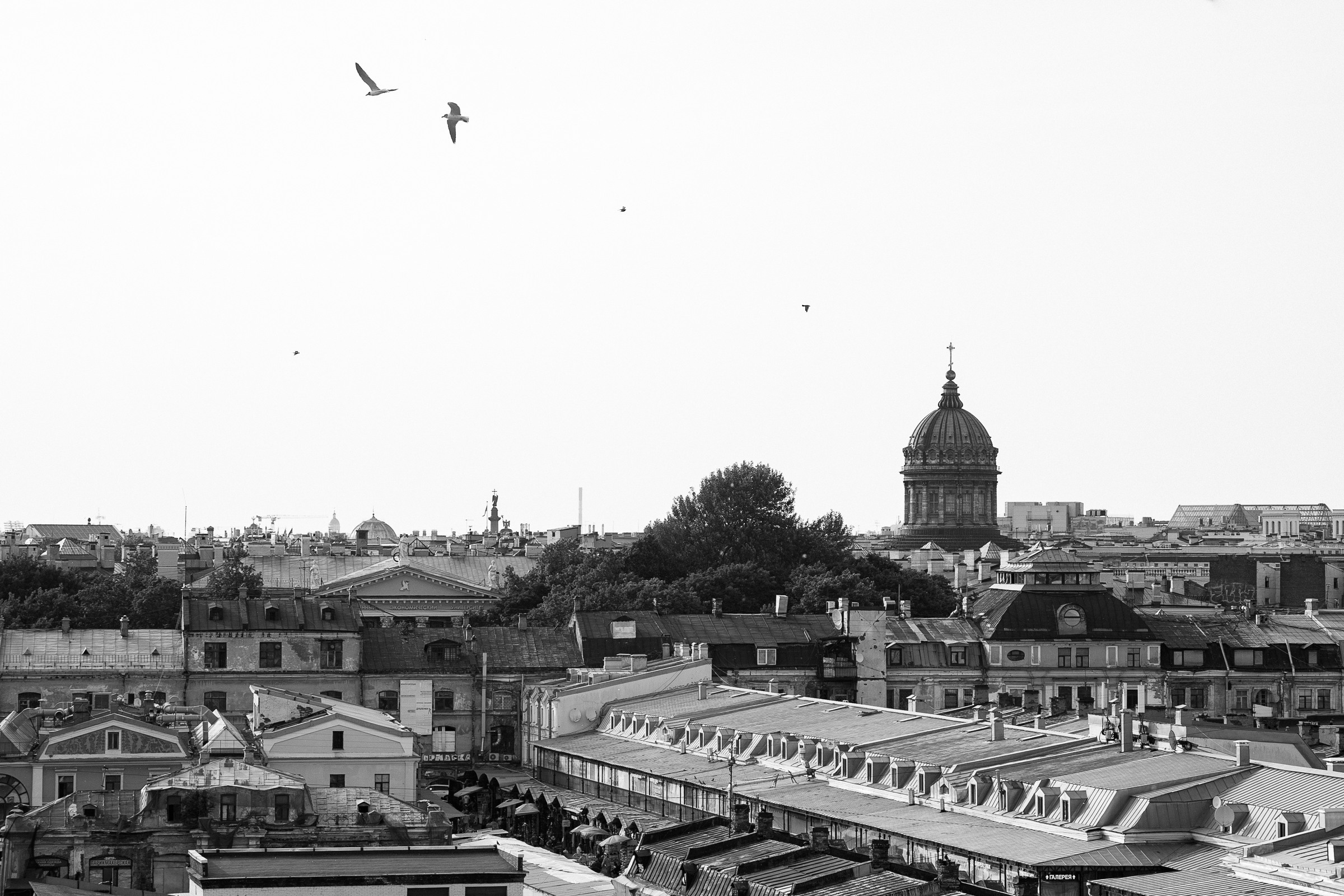 Камила & Роман | цифра + пленка. Свадебный фотограф СПб Мадина Сафарян