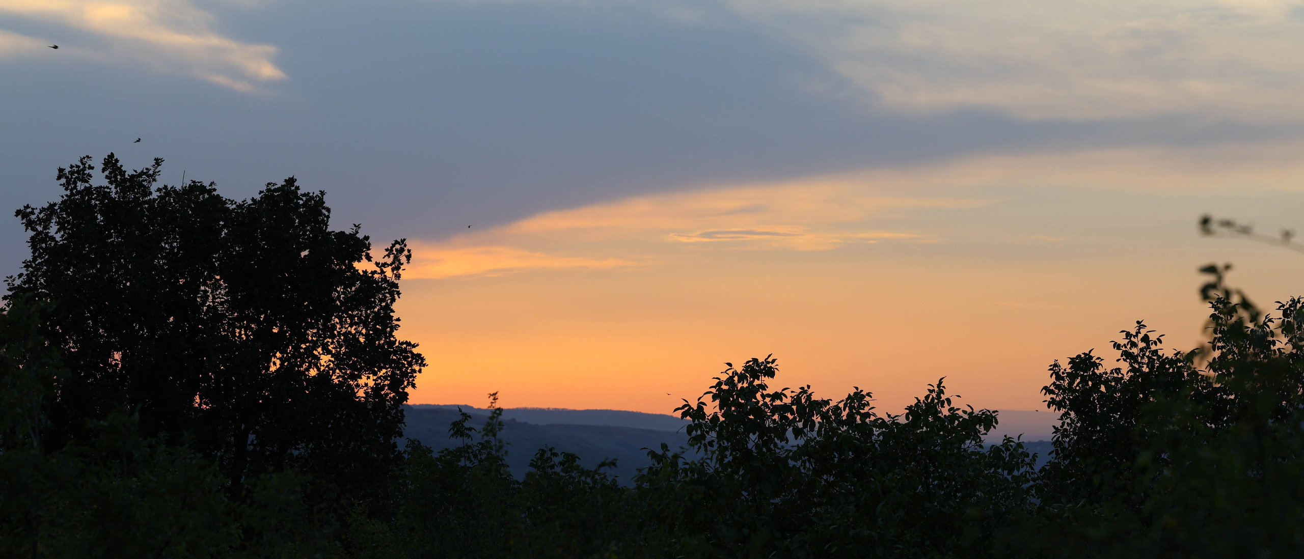 Мария Алексеева. Фотограф в Москве