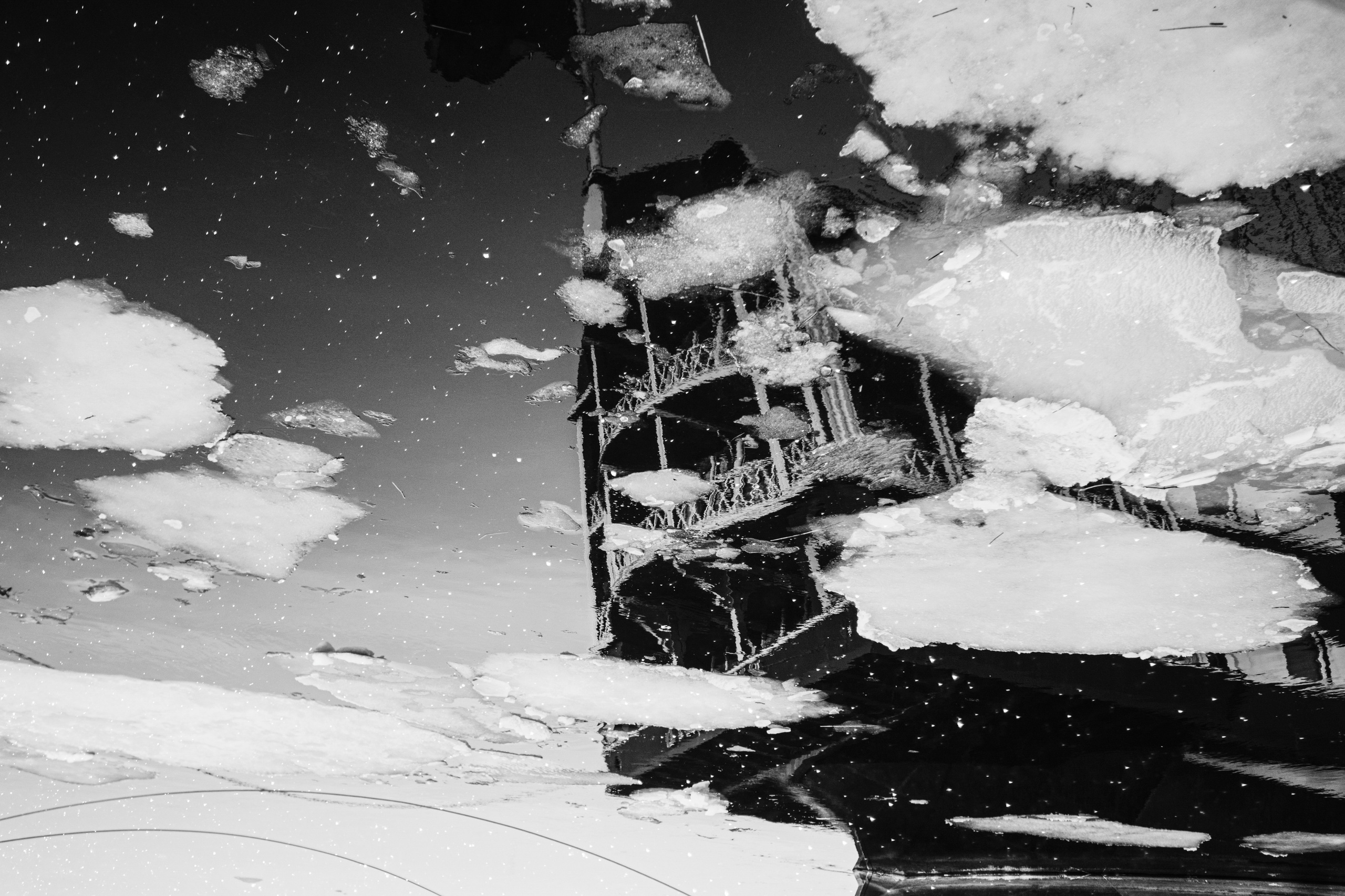 Принты. Фотограф Вера Фролова