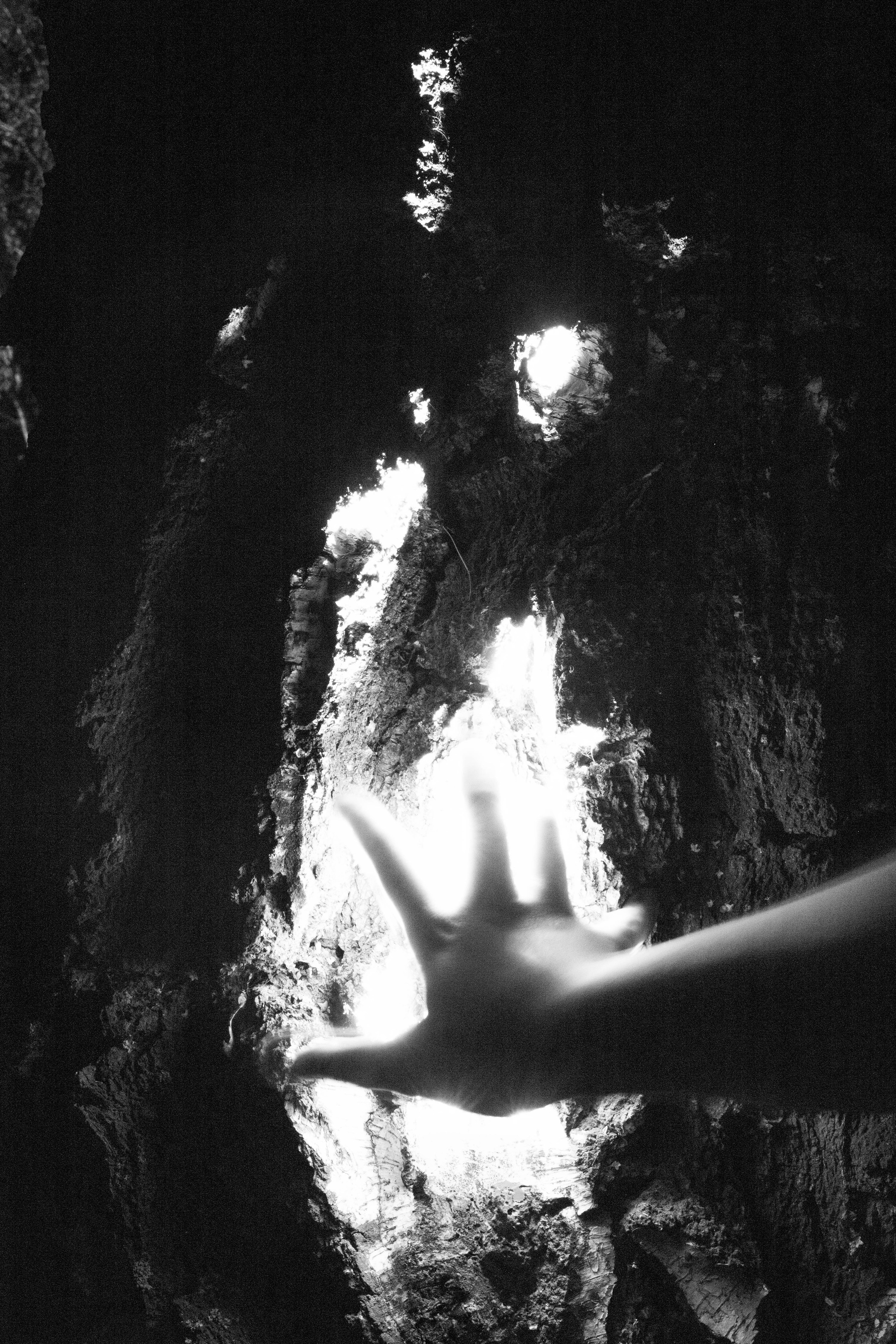 CRADLE. YAKUBOVICH EVA PHOTOGRAHER