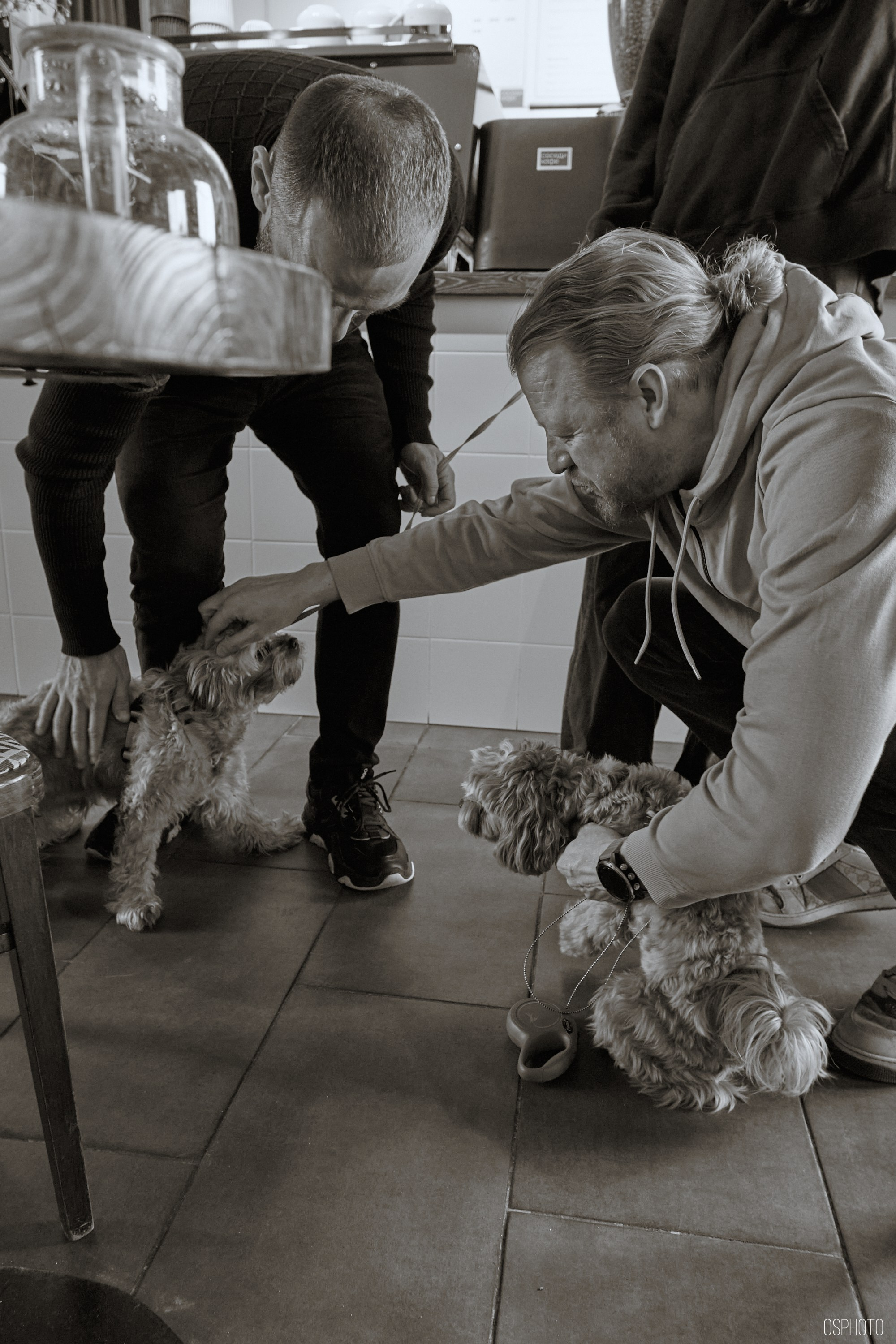 «Соседи Кофе». Микрогород в Лесу. Фотографъ Сергѣевъ. Поймать мгновеніе