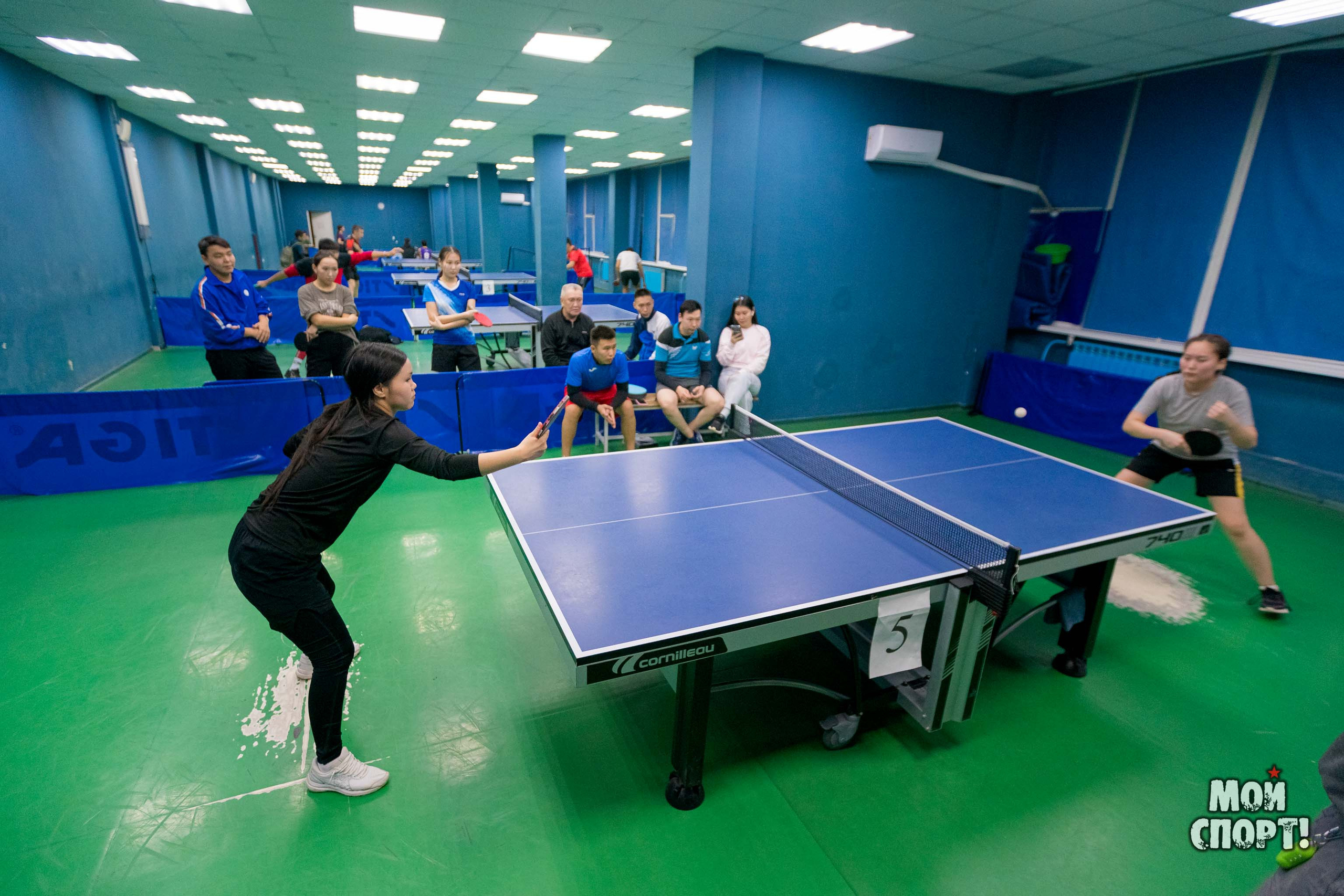 Студенческая лига. Студия «Мой Спорт!» — все о спорте в Якутии