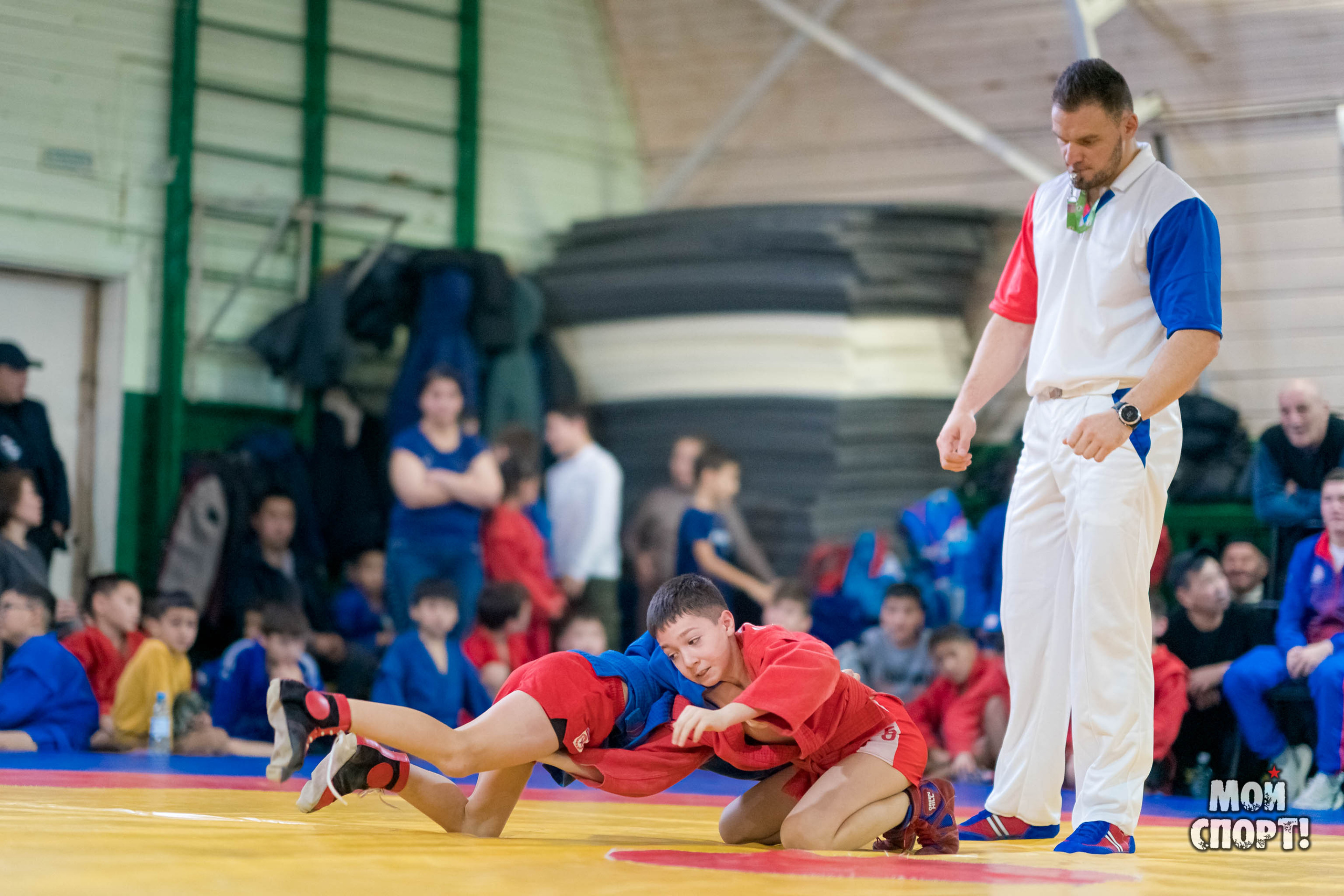 Открытое первенство по самбо среди юношей и девушек. Студия «Мой Спорт!» — все о спорте в Якутии