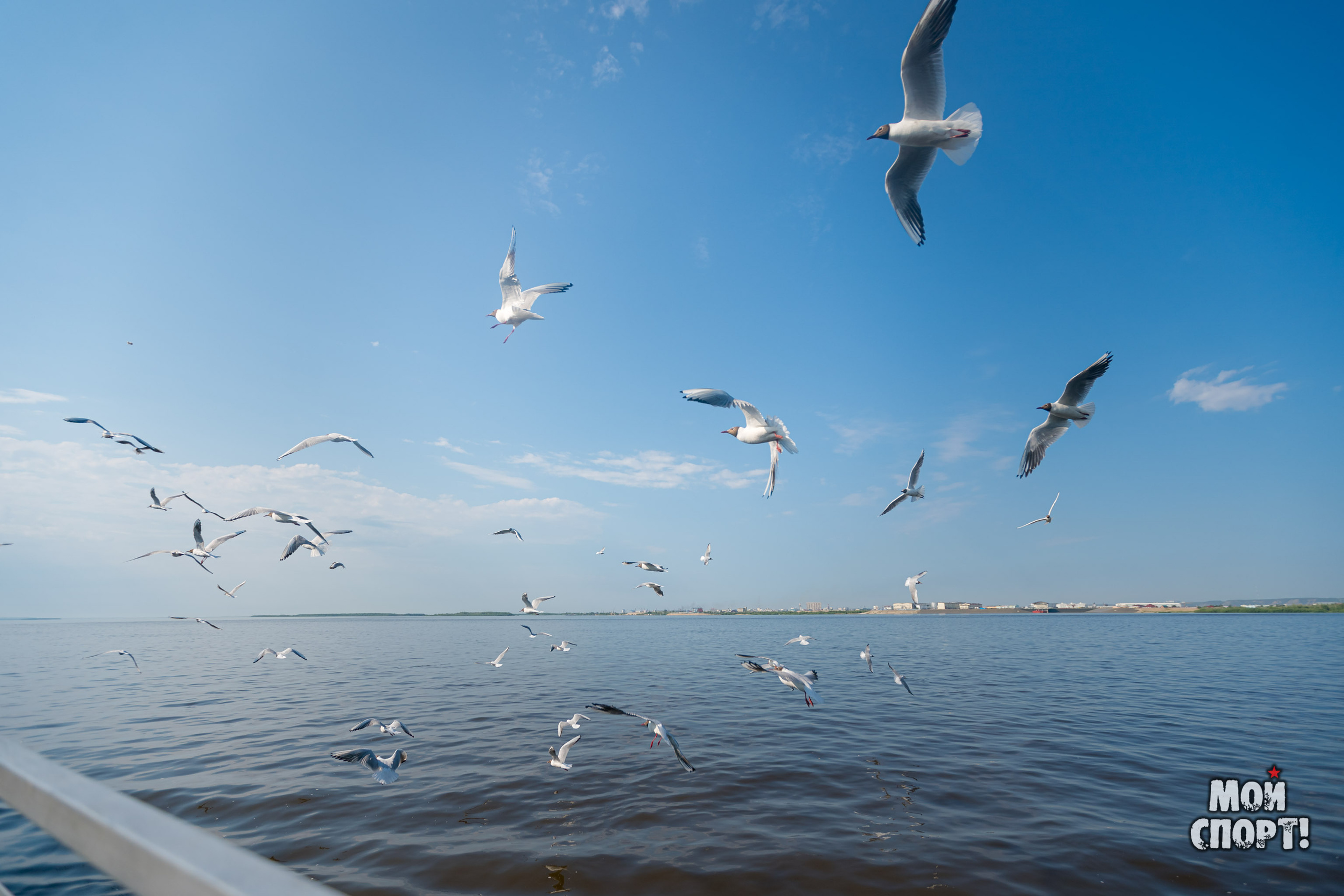 VIII Спортивные Игры Якутии. Студия «Мой Спорт!» — все о спорте в Якутии