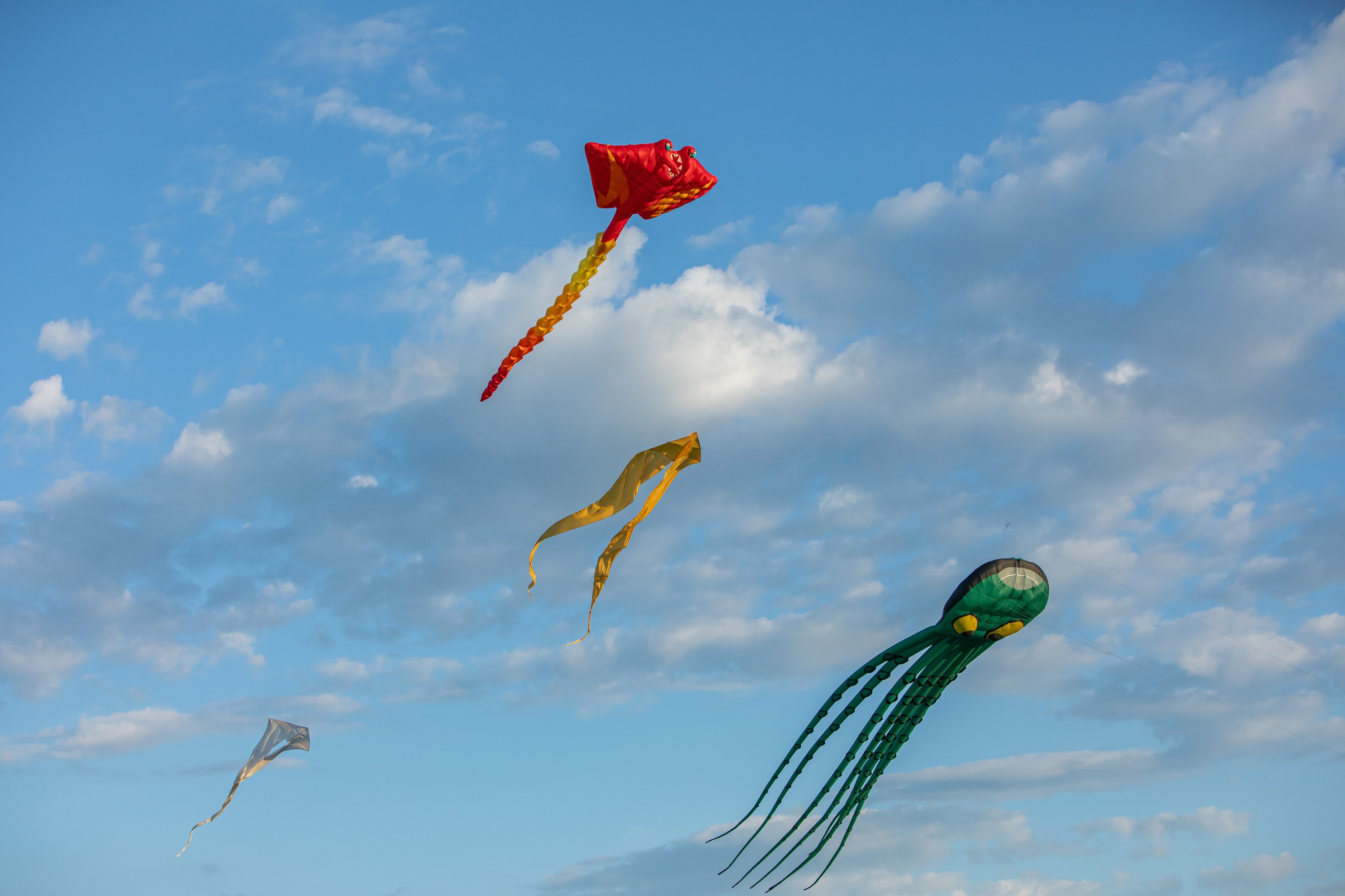 Небо России 2024, г. Рязань. Фотограф Сергей Ловкий