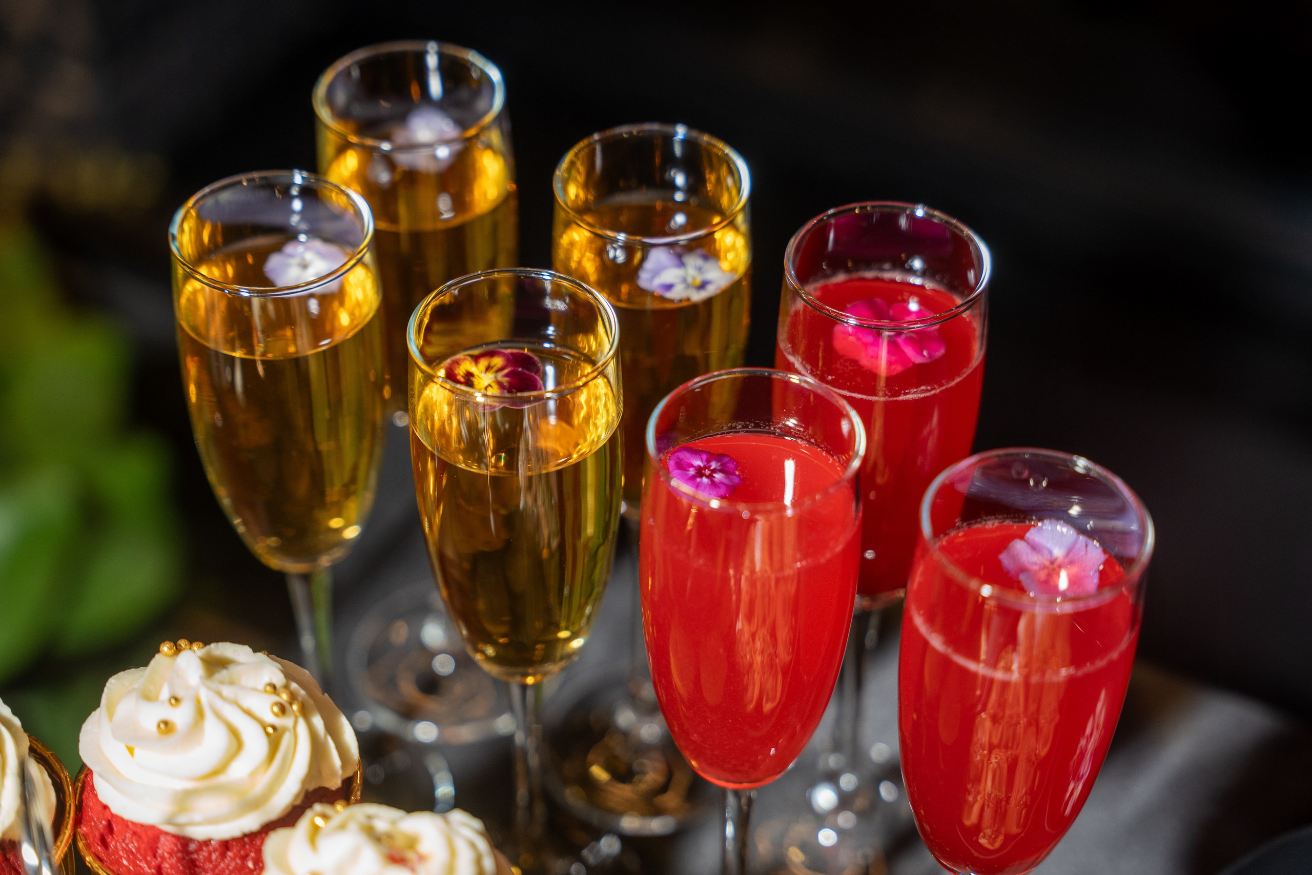 ХАРИБУ 1 ГОД. СВОИ. ФОТООТЧЕТЫ-СОБЫТИЯ-МЕСТА