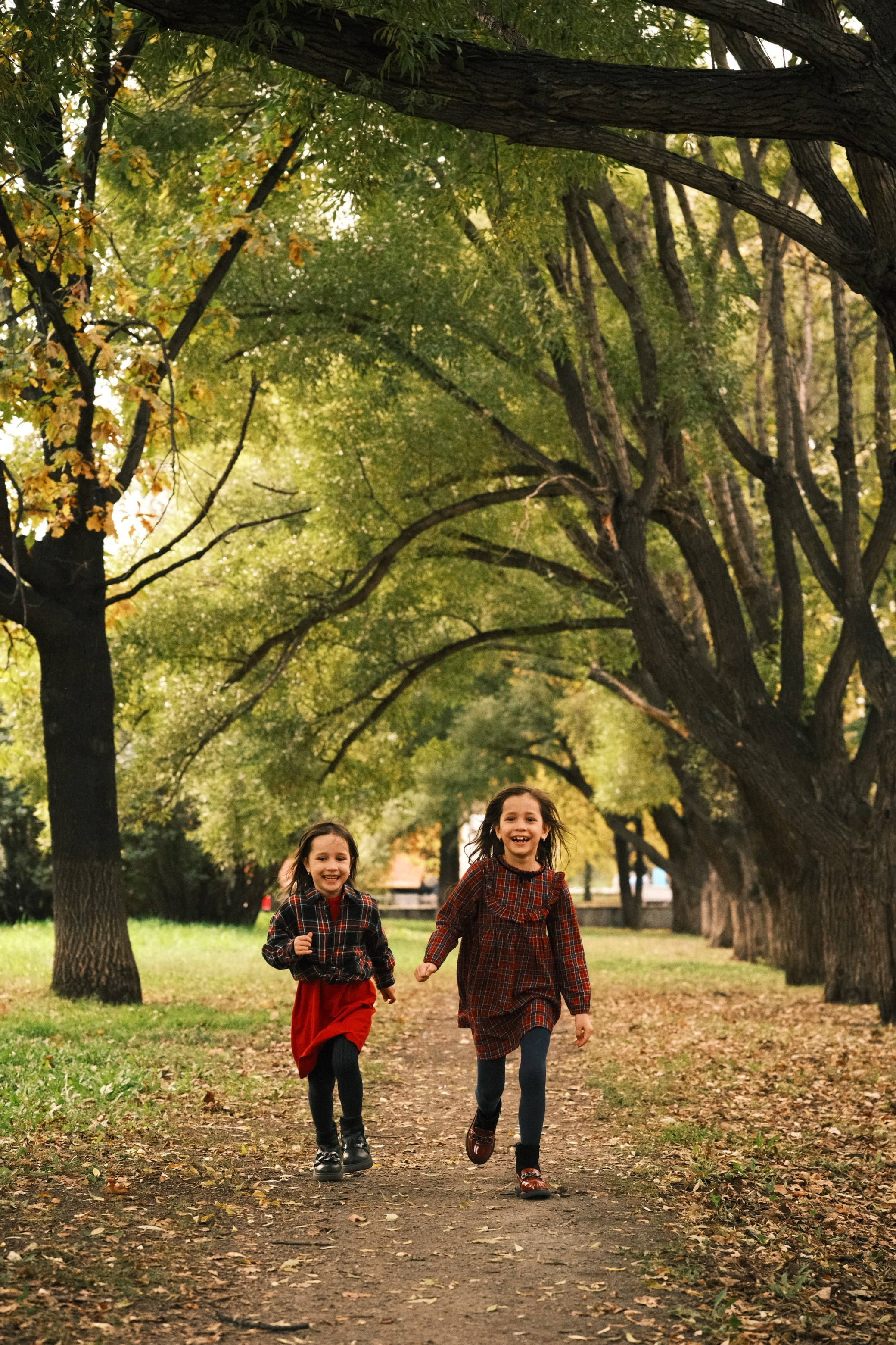 Алина. Свадебный, портретный и детский фотограф в Челябинске