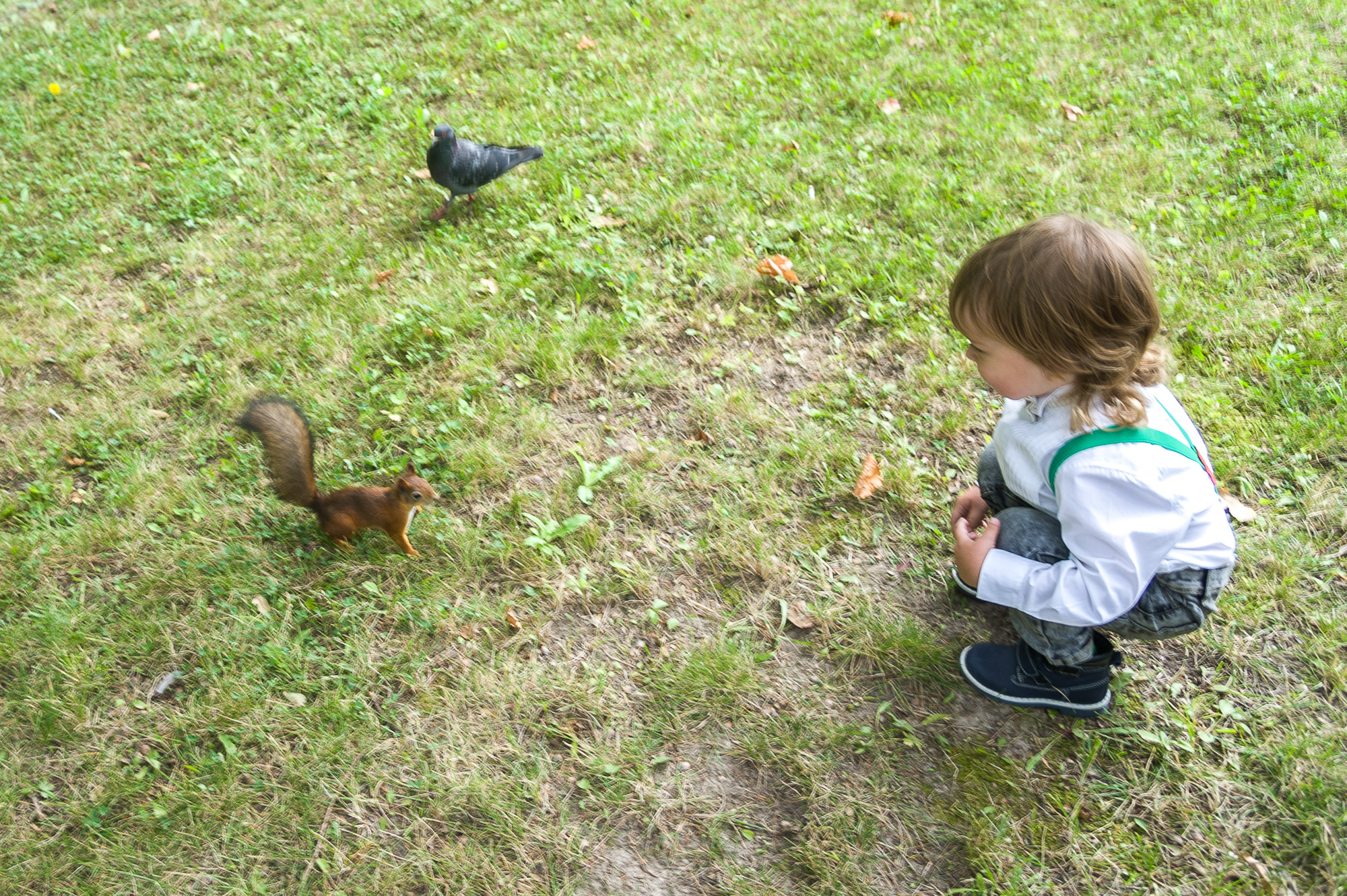 АНАСТАСИЯ, АЛЕКСЕЙ, МИРОН И МАРГО. Фотограф Дмитрий Грант