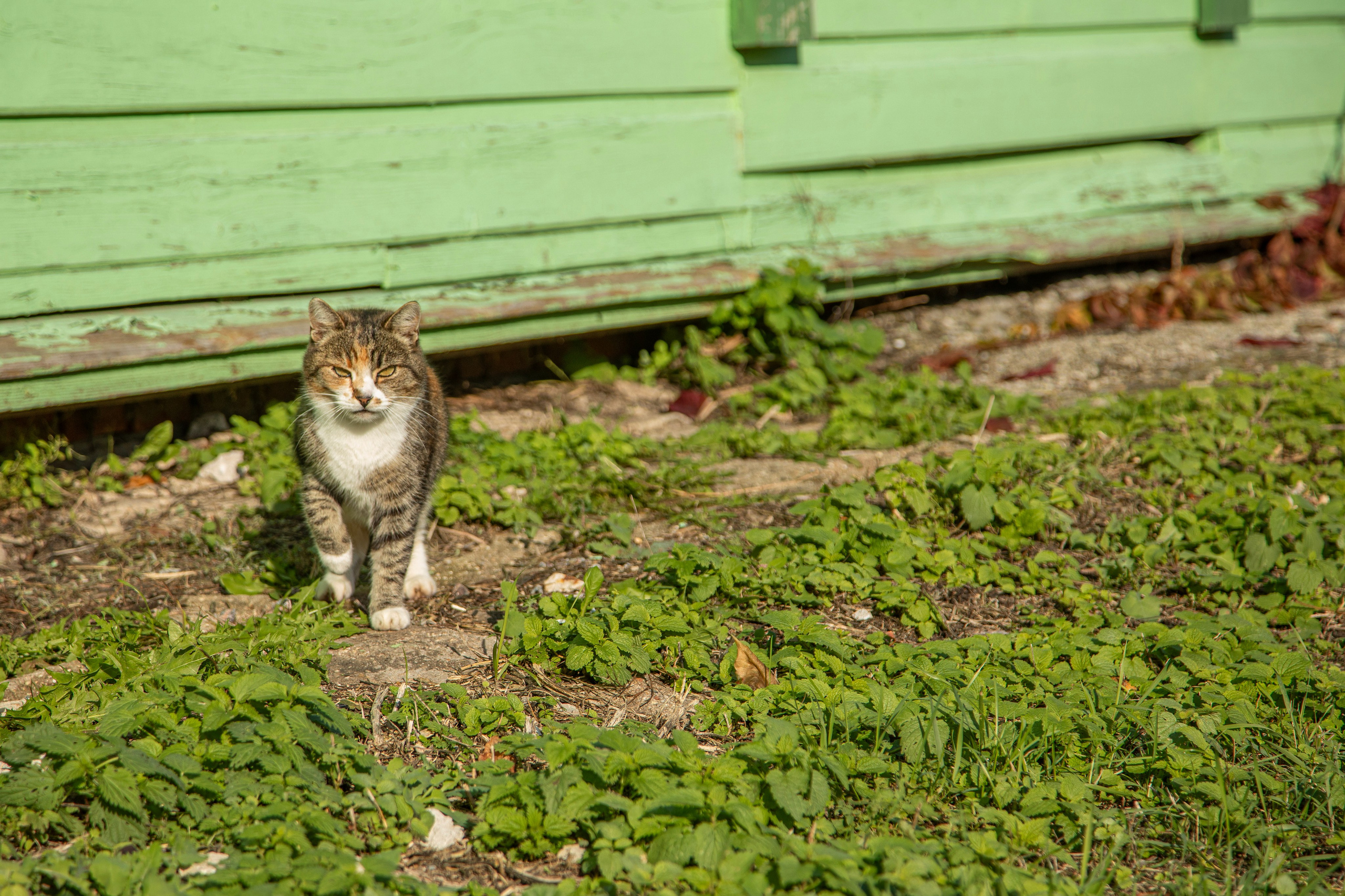 Воскресенье в г. Дмитров. Фотограф Сергей Ловкий
