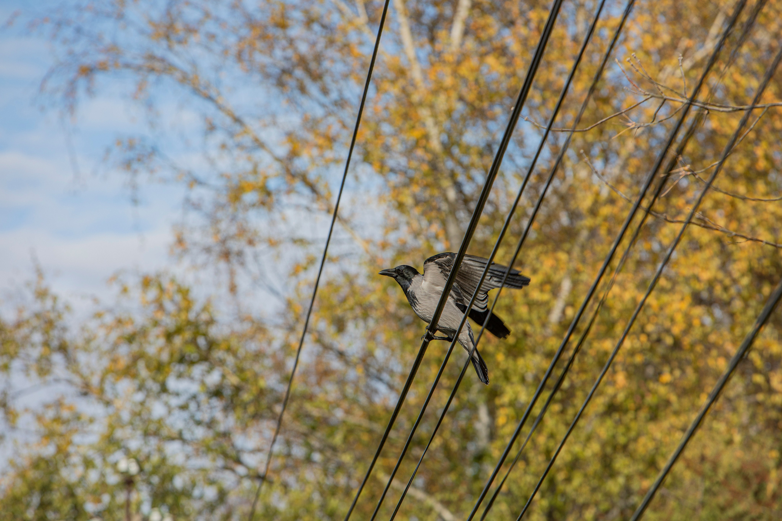 Воскресенье в г. Дмитров. Фотограф Сергей Ловкий