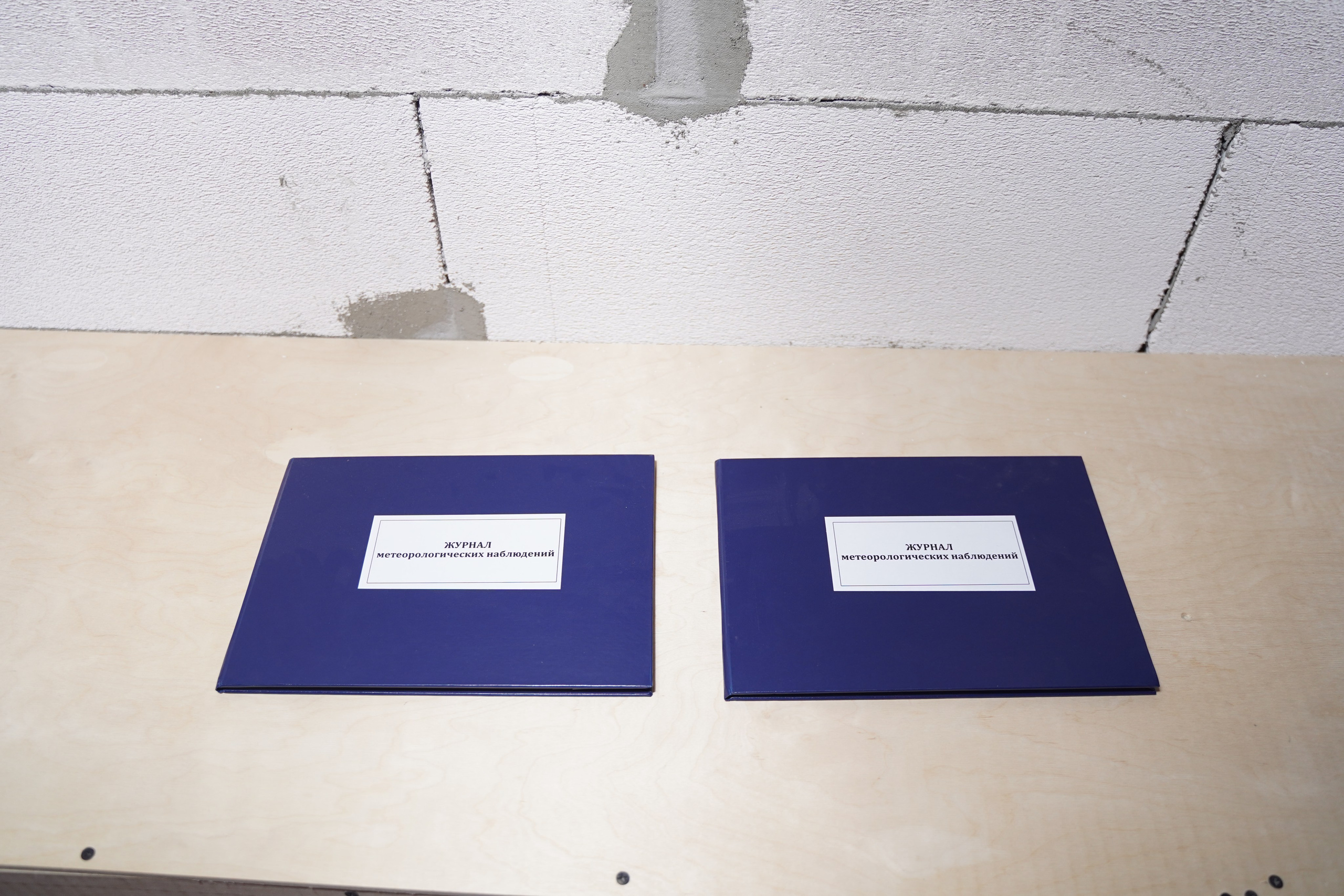 Полуденное, групповая выставка, 26.09-10.10, пространство «Союз», Тула. Лера Круглова